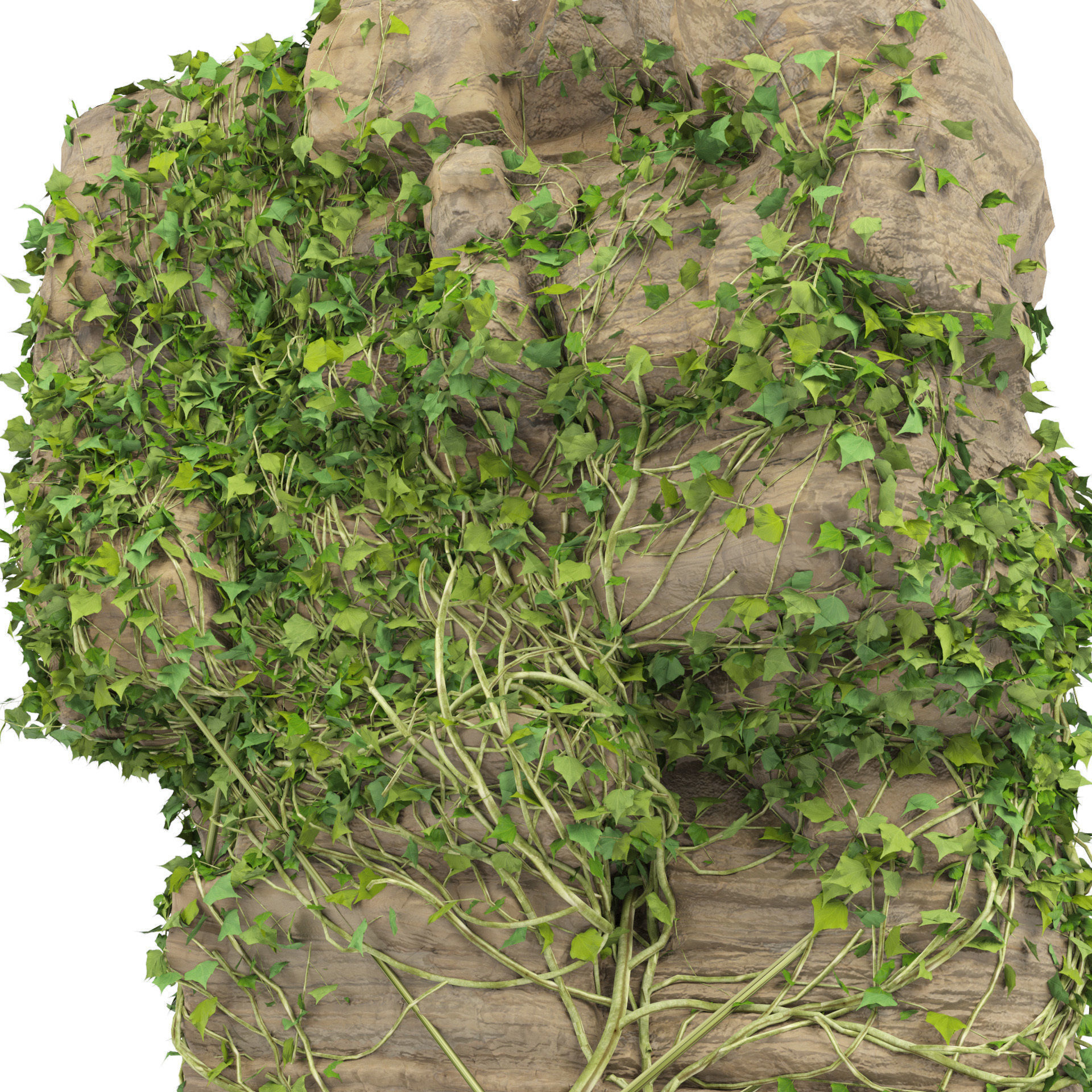 Ivy-Covered Rock 3D Model Low-poly 3D model_6