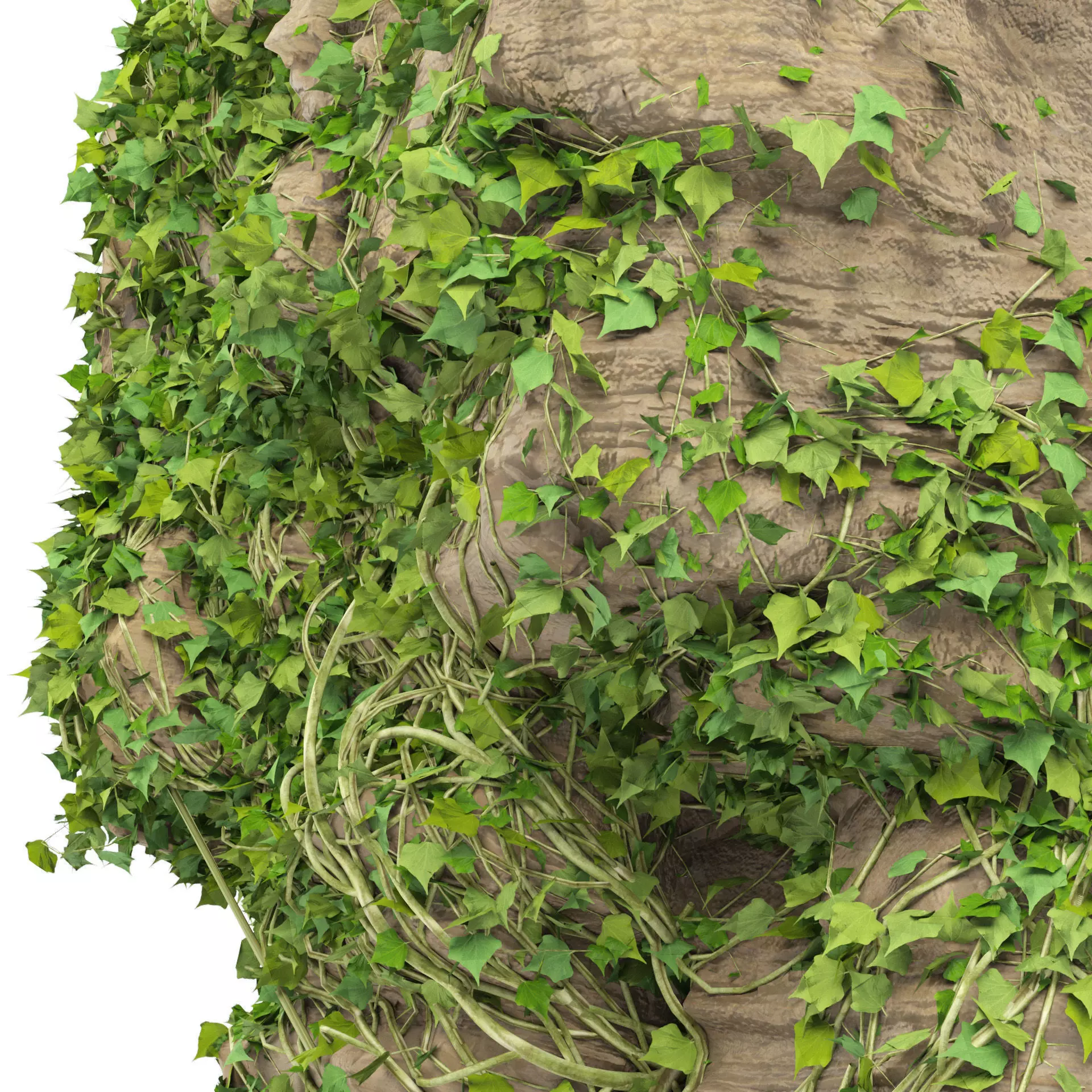 Ivy-Covered Rock 3D Model Low-poly 3D model_0