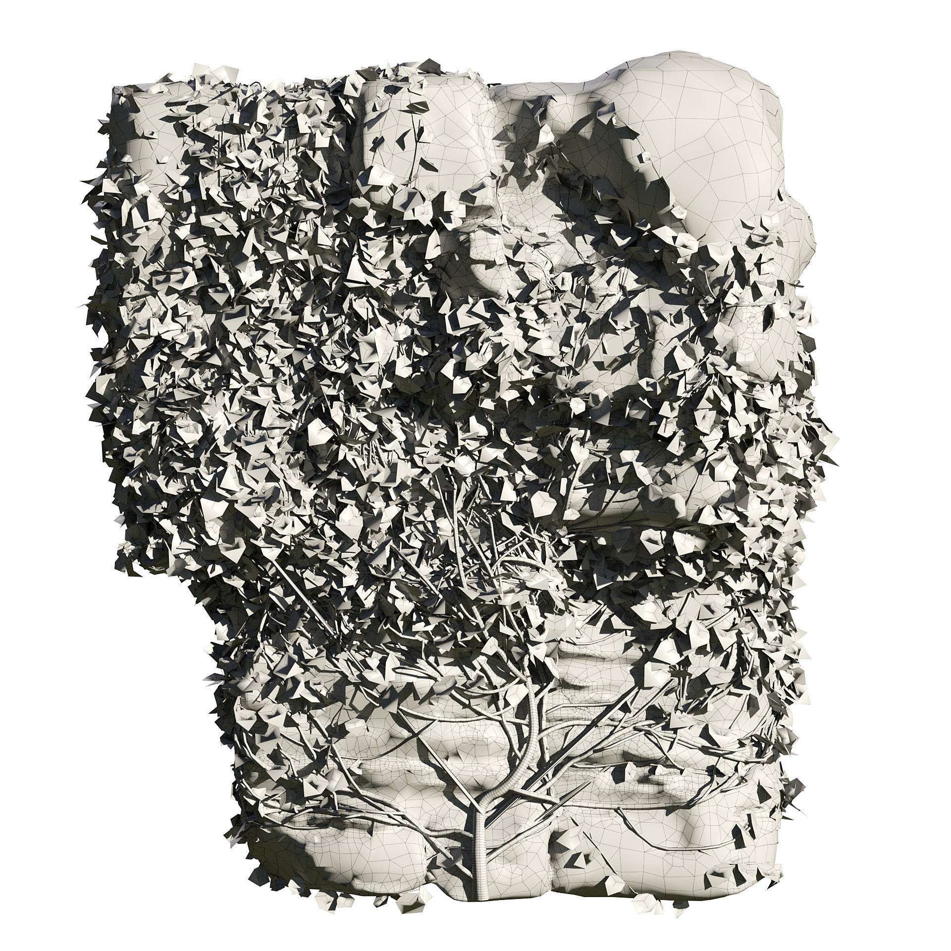 Ivy-Covered Rock 3D Model Low-poly 3D model_5