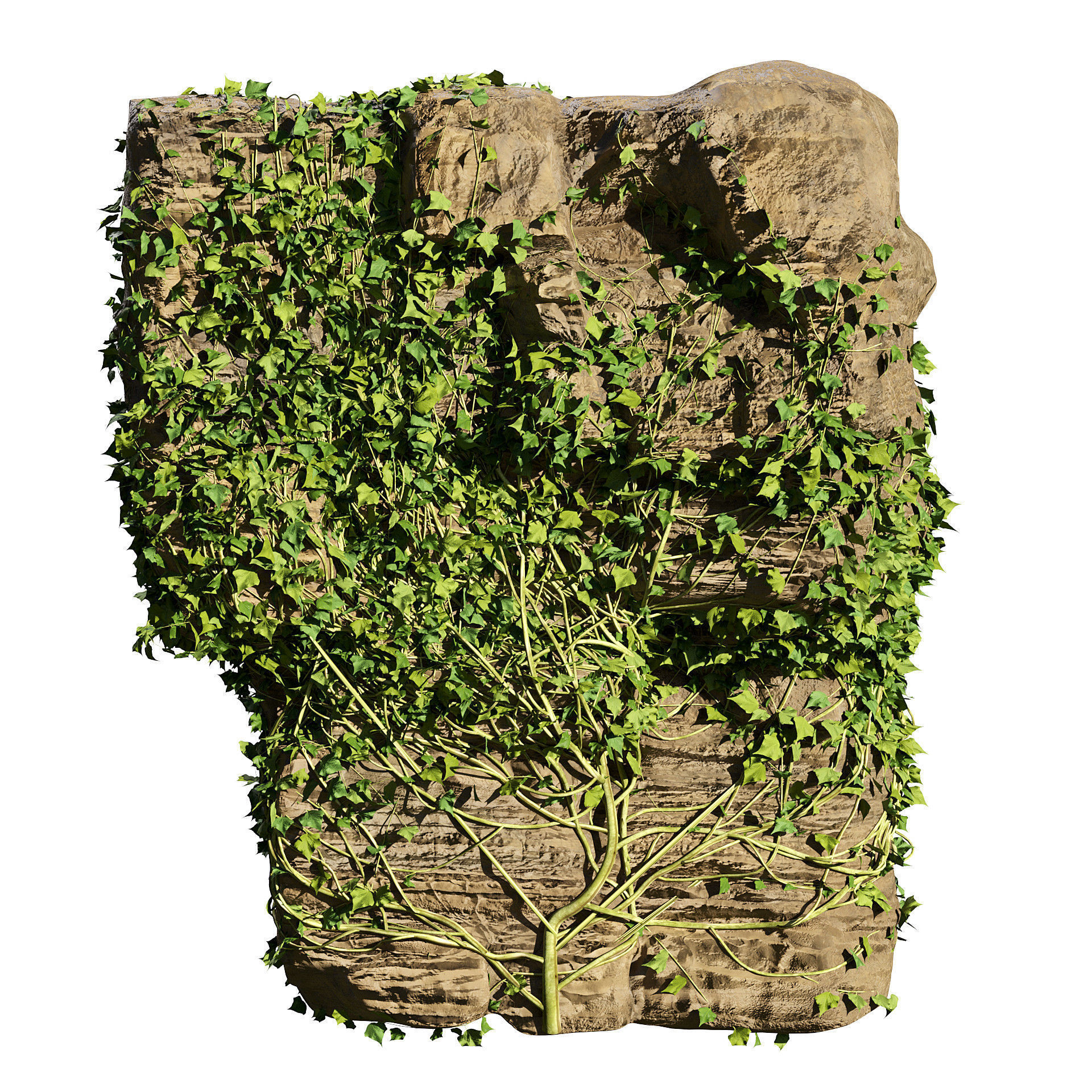 Ivy-Covered Rock 3D Model Low-poly 3D model_2