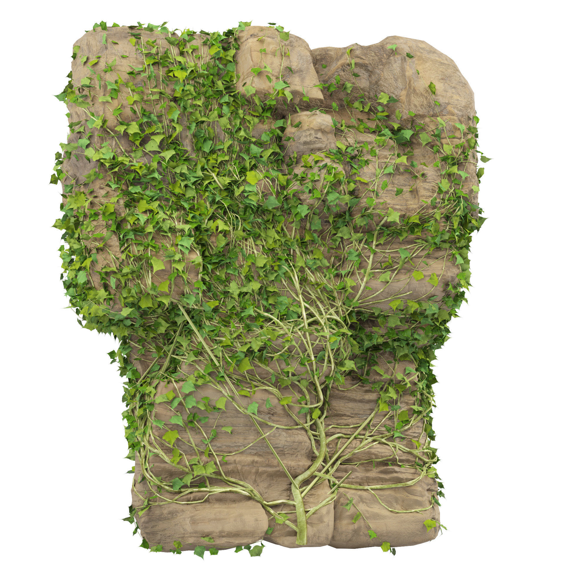 Ivy-Covered Rock 3D Model Low-poly 3D model_3
