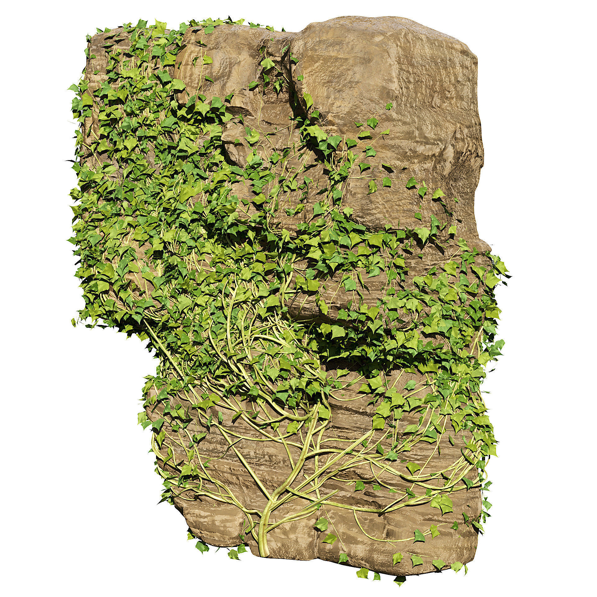 Ivy-Covered Rock 3D Model Low-poly 3D model_4