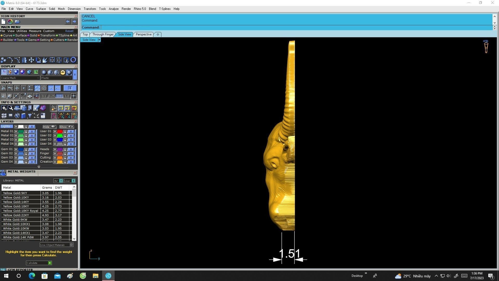 6173 Head Buffalow Pendant 3D print model_7