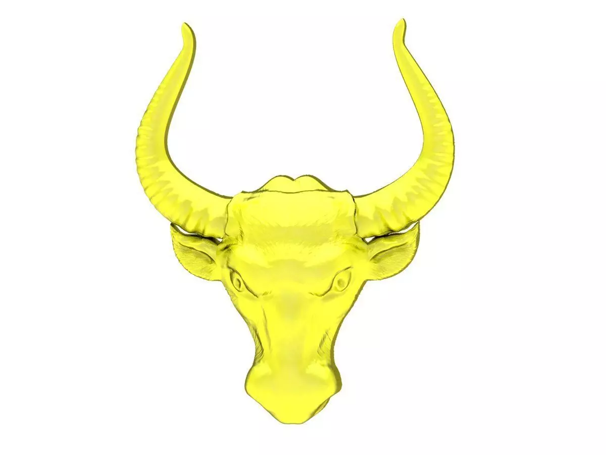 6173 Head Buffalow Pendant 3D print model_0