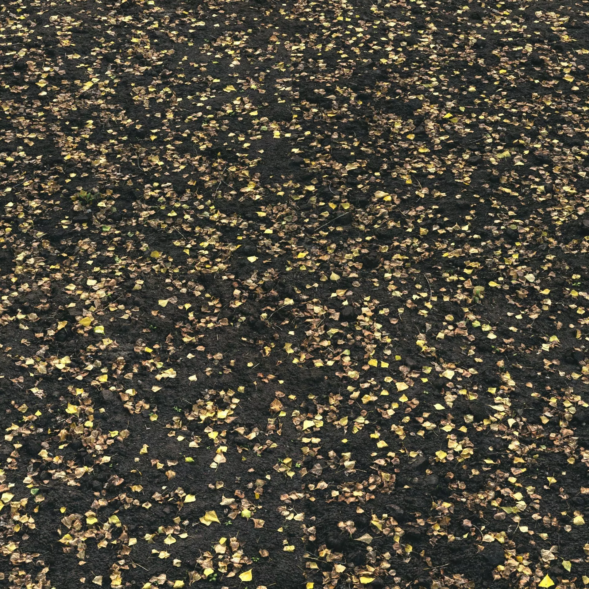 Autumn foliage material 05 Low-poly 3D model