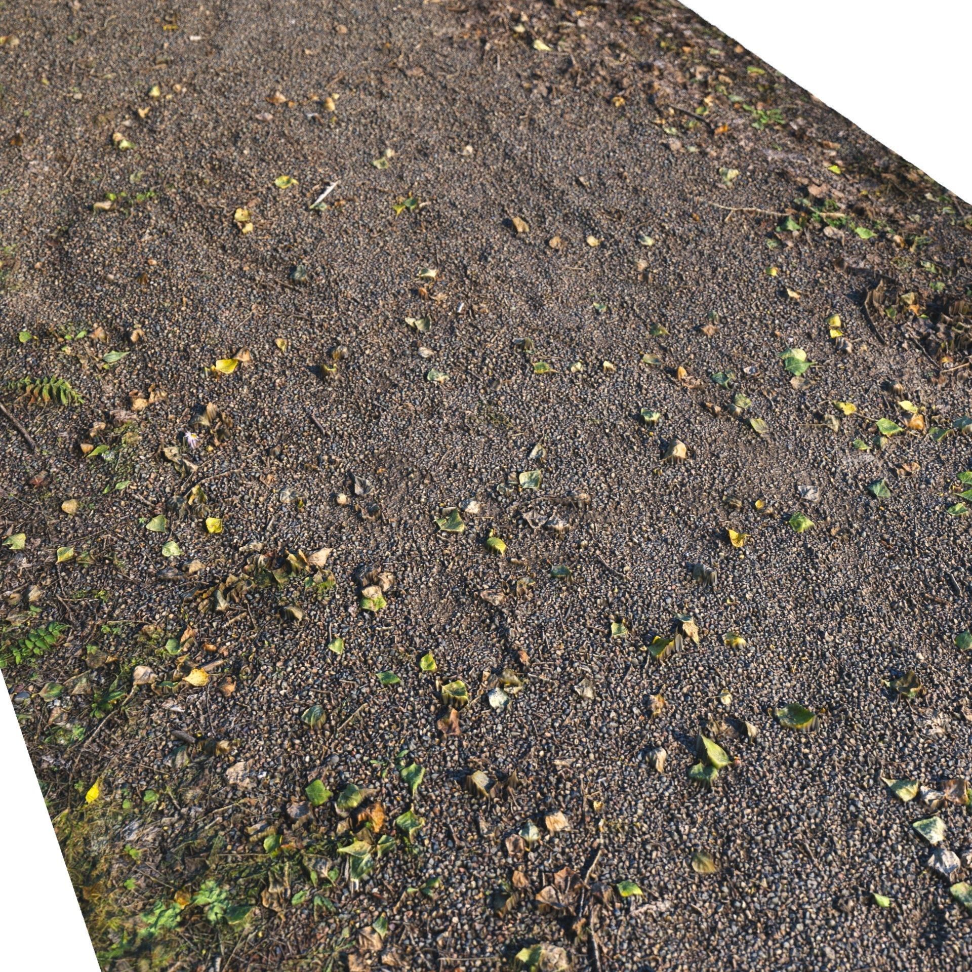 Autumn trail 06 - 8 meters 3D model_9