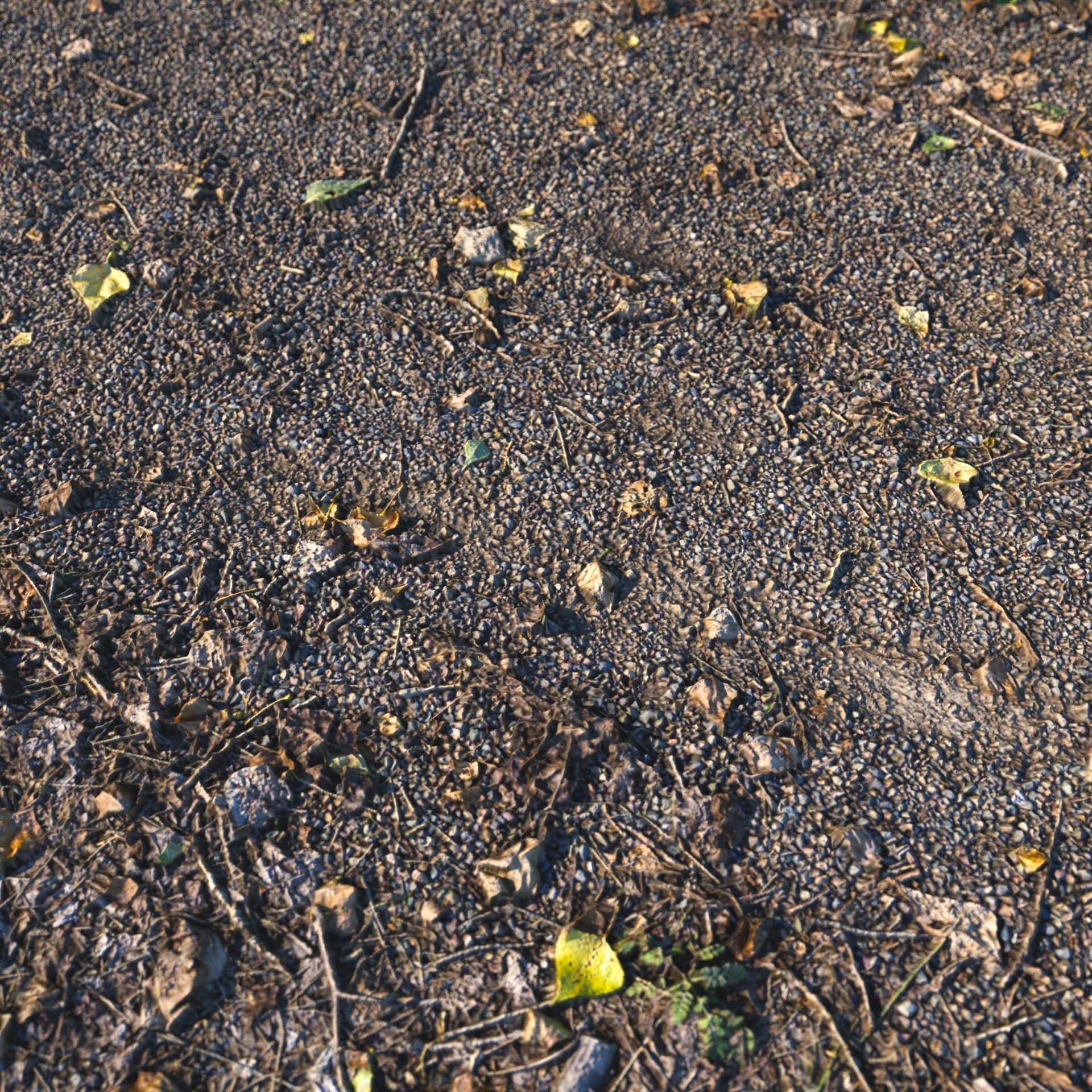 Autumn trail 06 - 8 meters 3D model_7