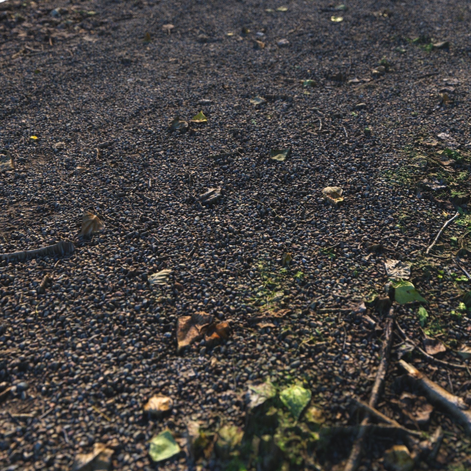 Autumn trail 06 - 8 meters 3D model_10