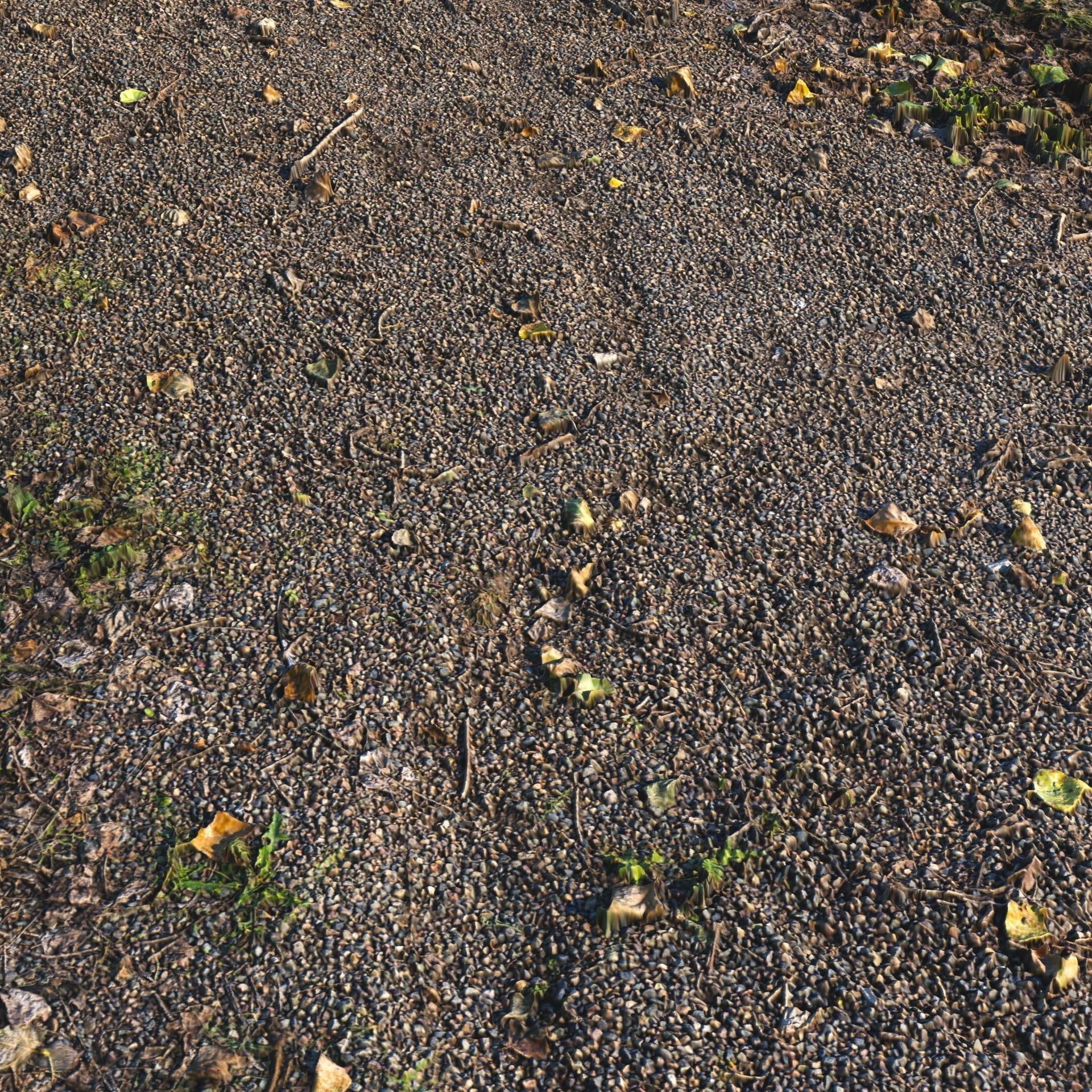 Autumn trail 06 - 8 meters 3D model_4