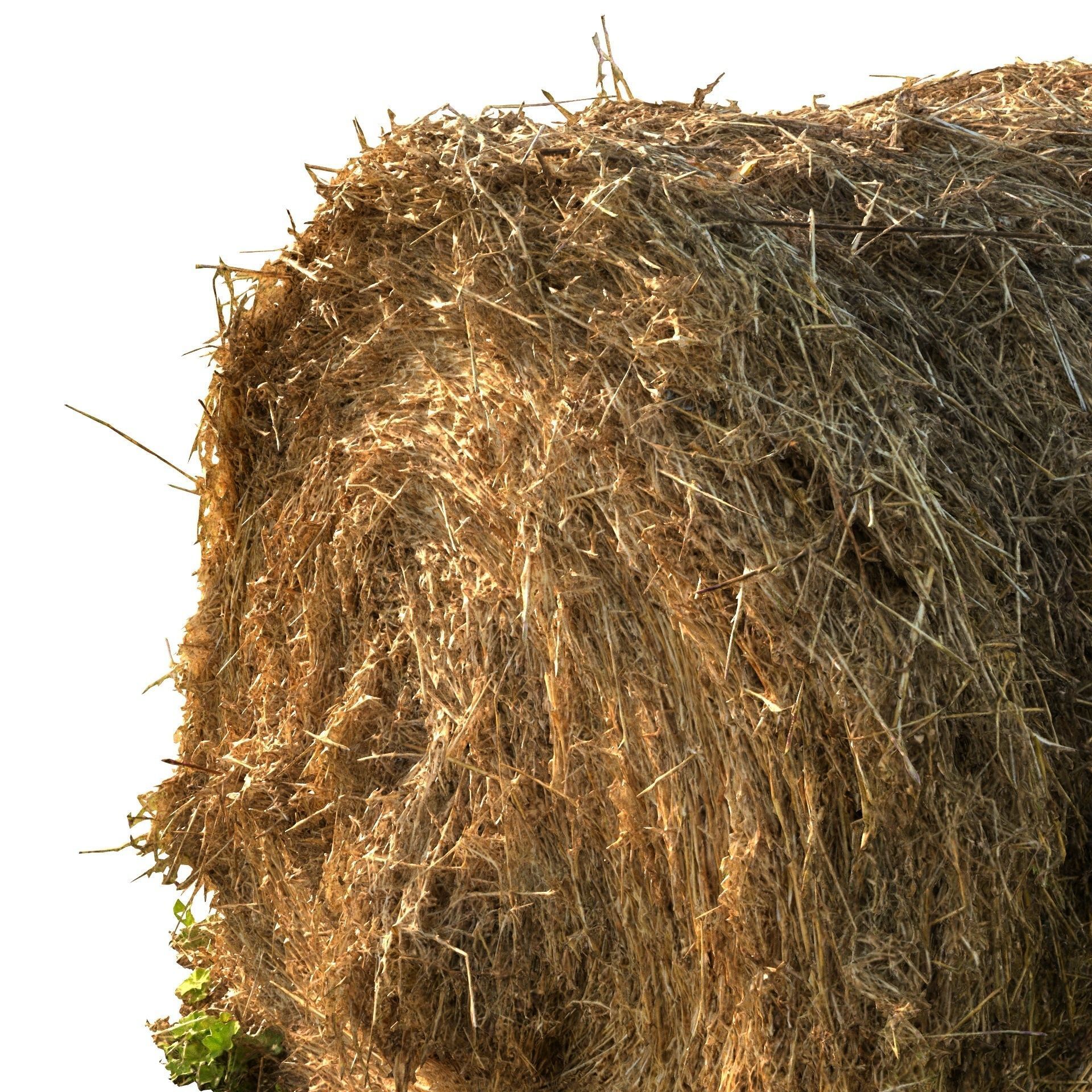 Round bale of hay 3D model_5