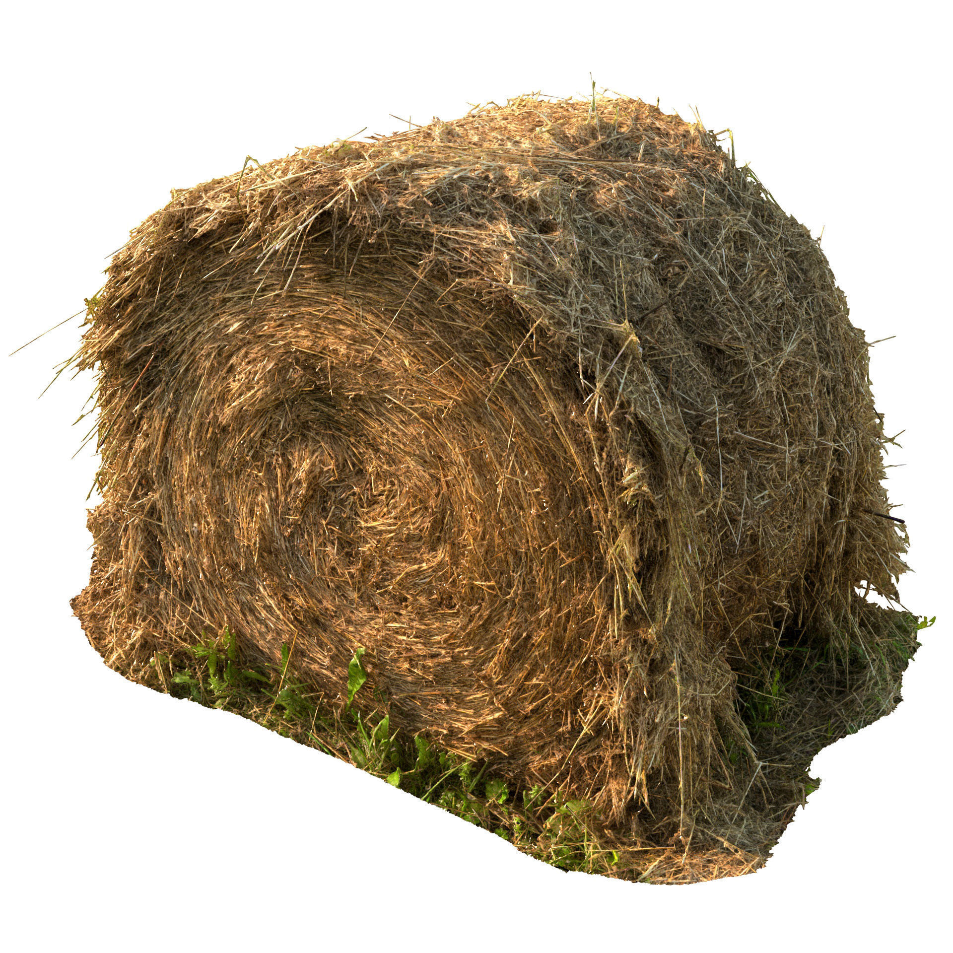 Round bale of hay 3D model_3