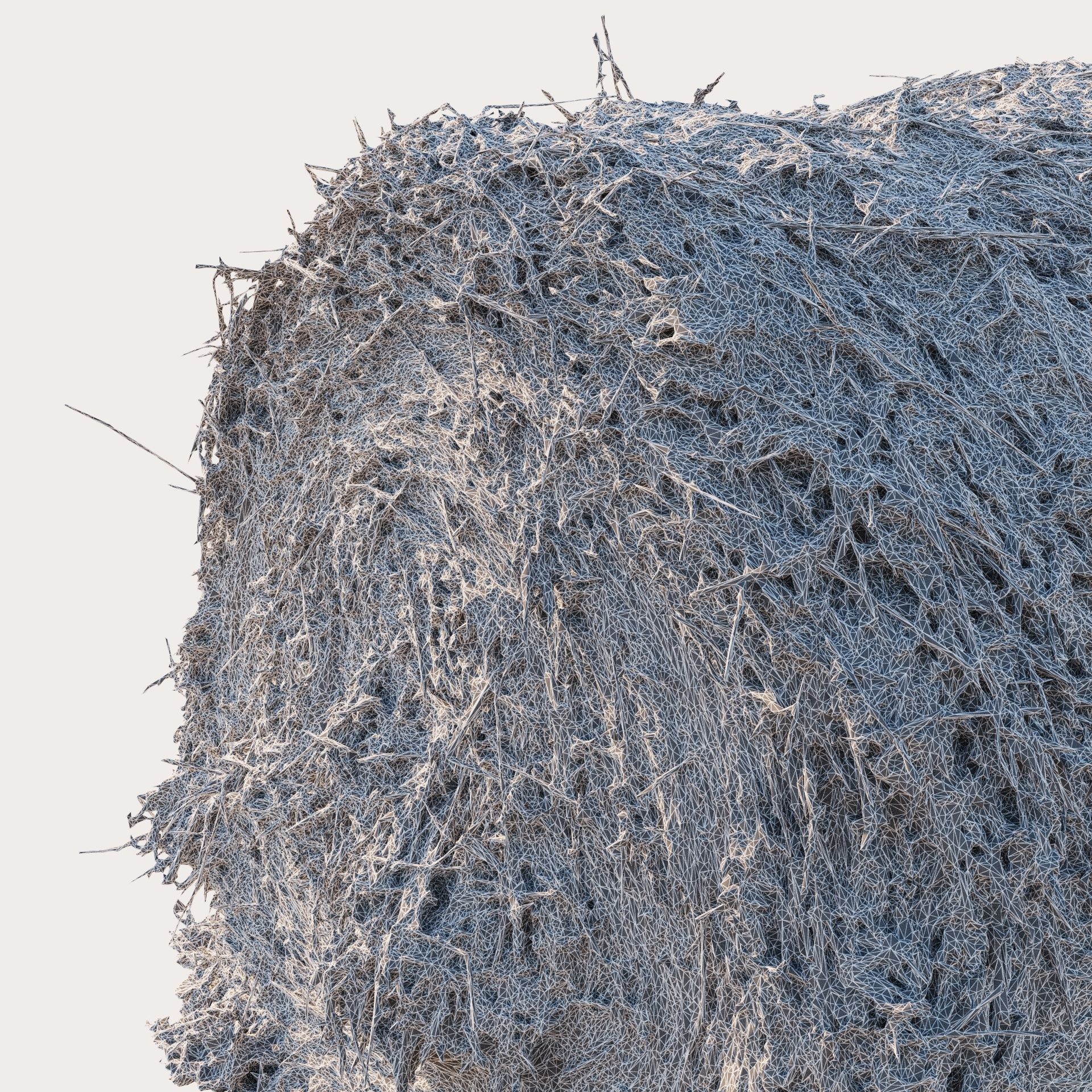Round bale of hay 3D model_7