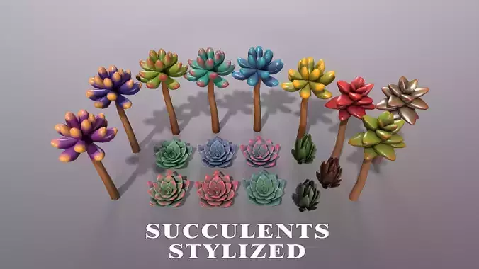 Stylized succulents Low-poly 3D model
