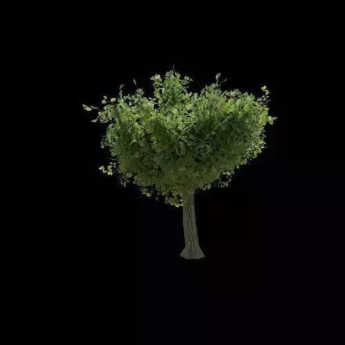 Low Poly Tree