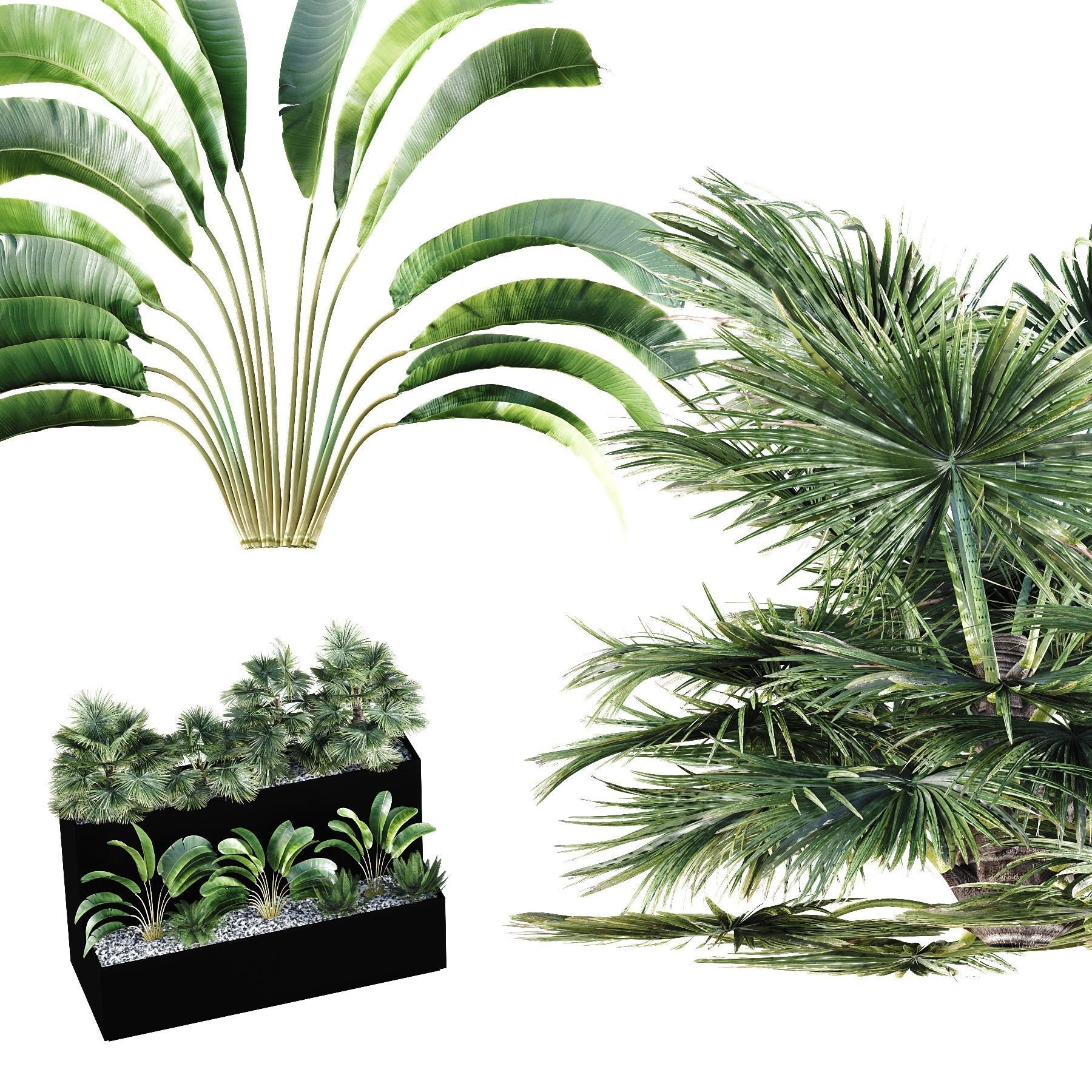 HQ Tree and bush garden box outdoor VOL 11 Free 3D model_2