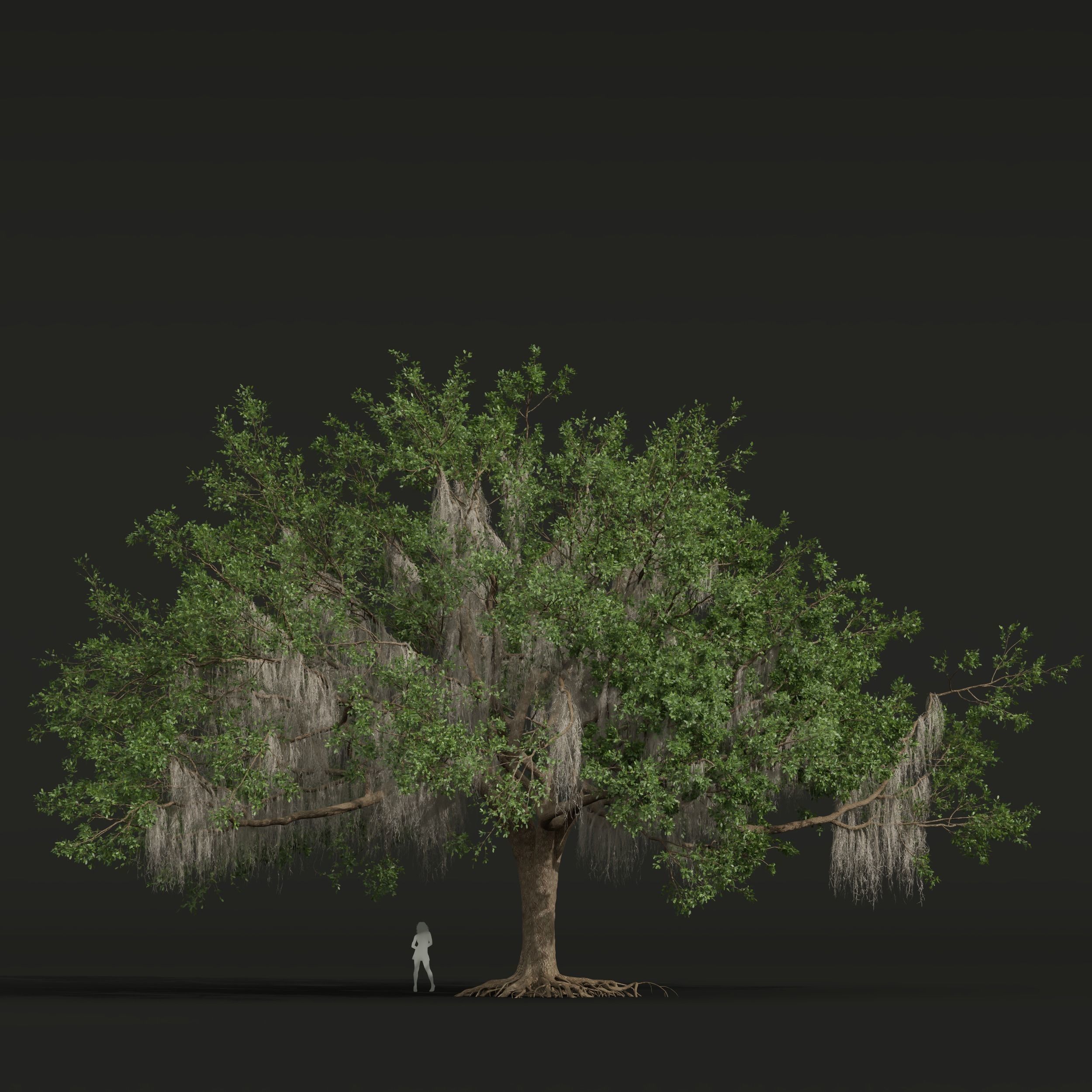 6 Different SETS of Tree SET VOL58 3D Model Collection_21