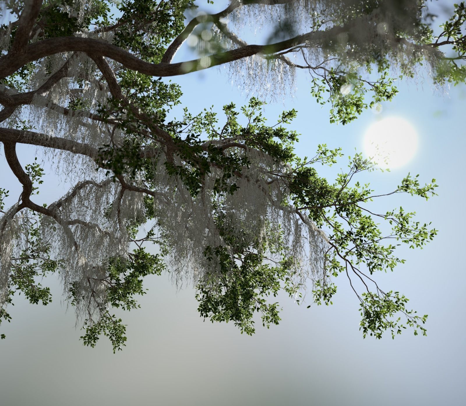 6 Different SETS of Tree SET VOL58 3D Model Collection_10