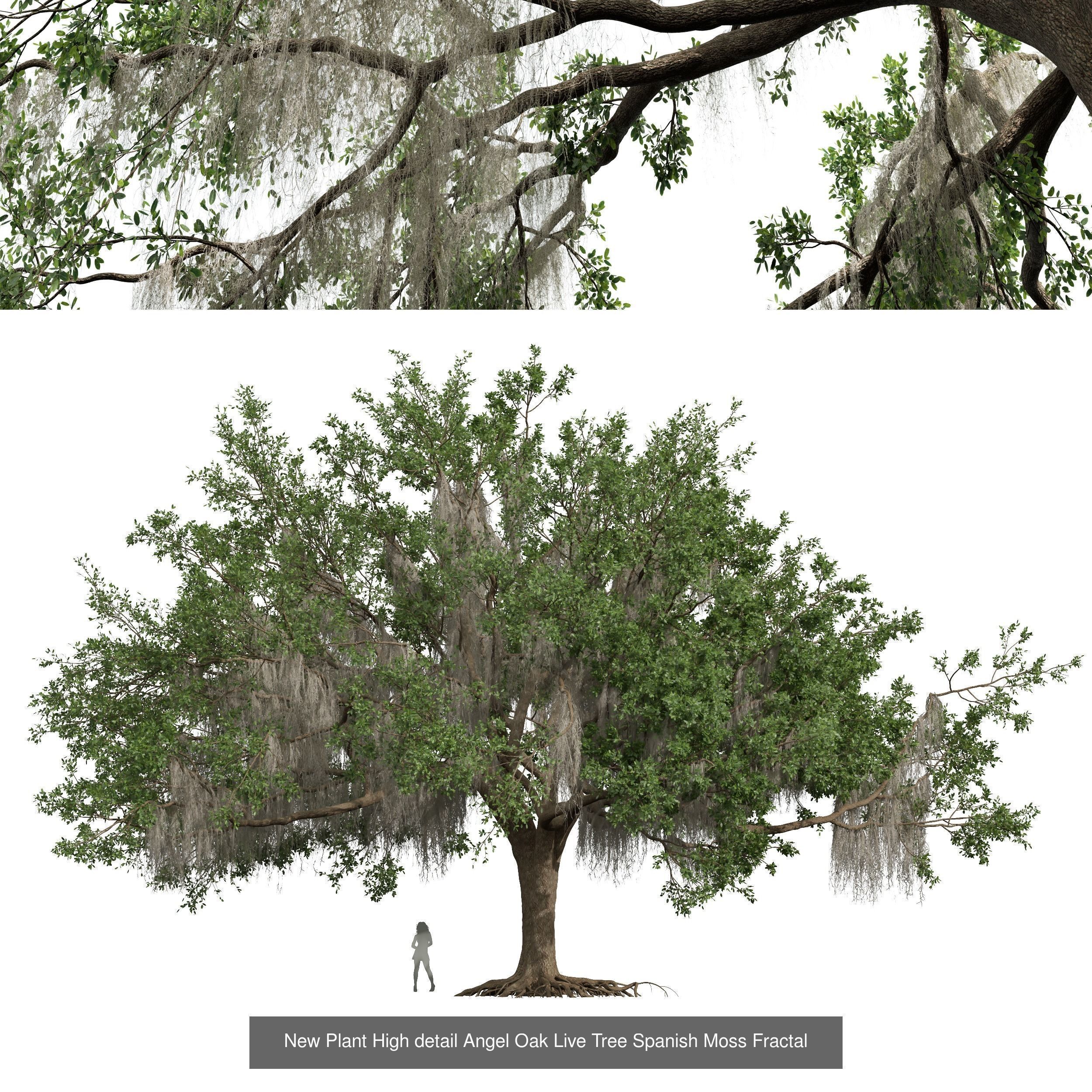 6 Different SETS of Tree SET VOL58 3D Model Collection_2