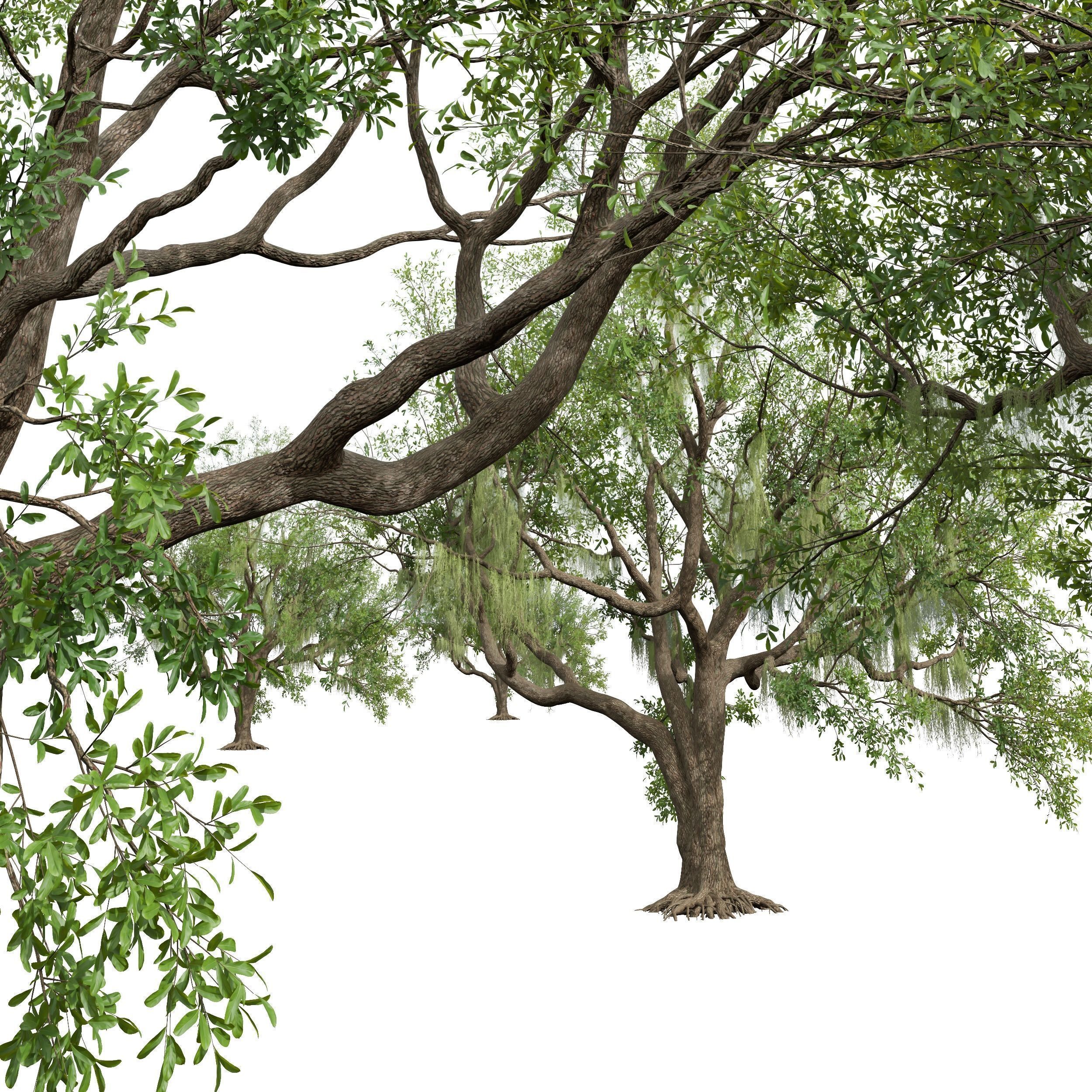 6 Different SETS of Tree SET VOL58 3D Model Collection_22