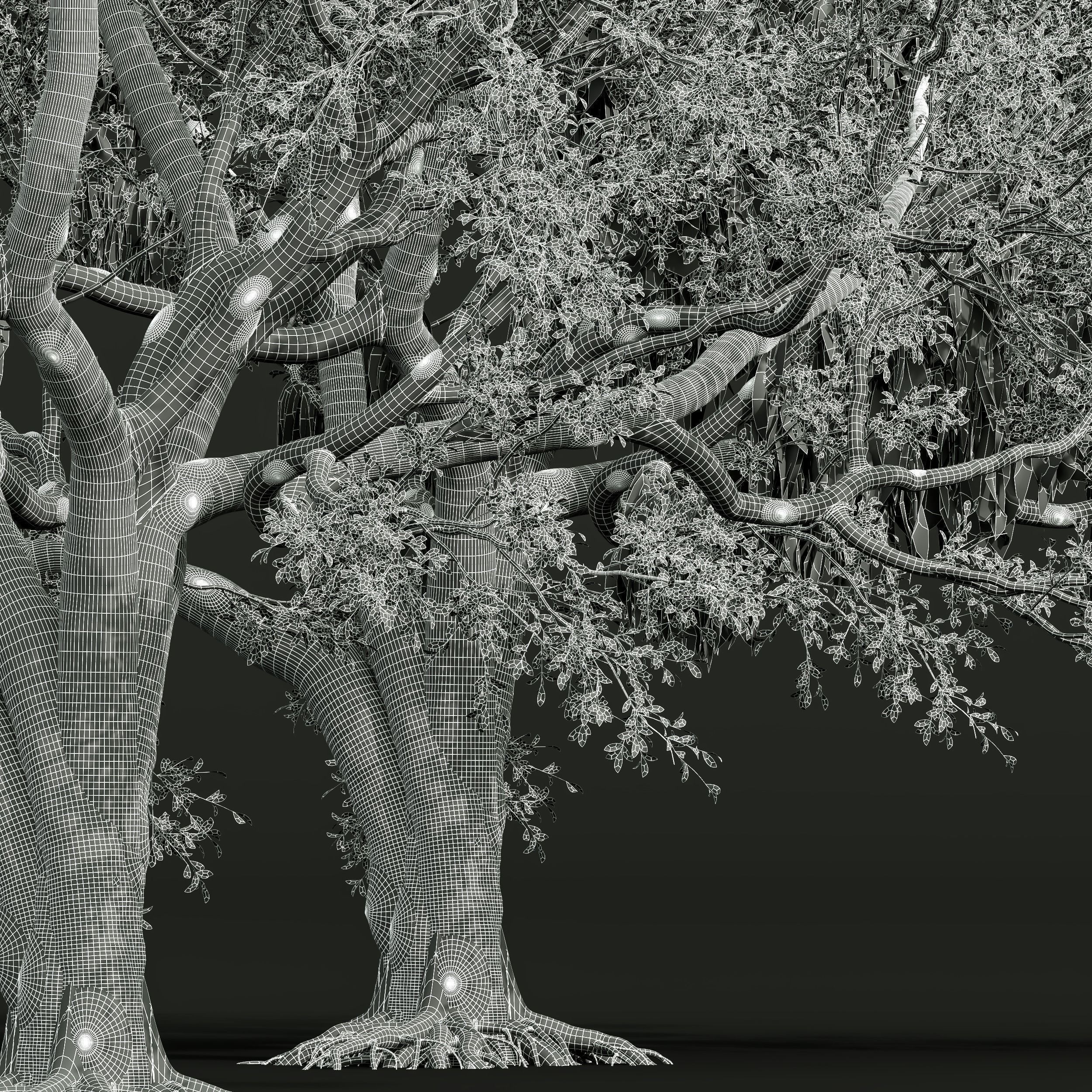 6 Different SETS of Tree SET VOL58 3D Model Collection_29