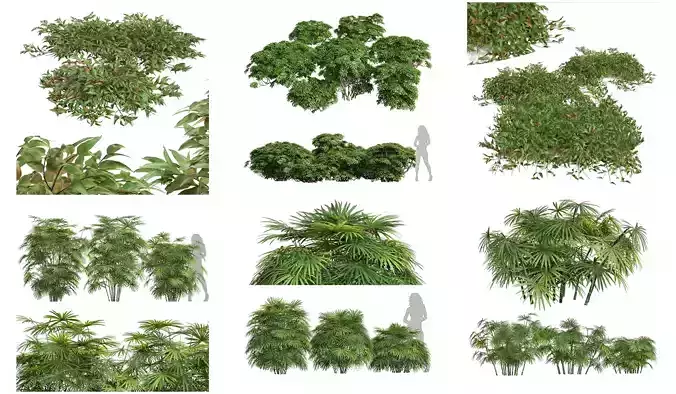 6 Different SETS of Bush SET VOL59 3D Model Collection