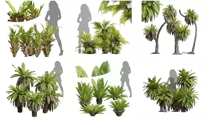 6 Different SETS of Shrub SET VOL60