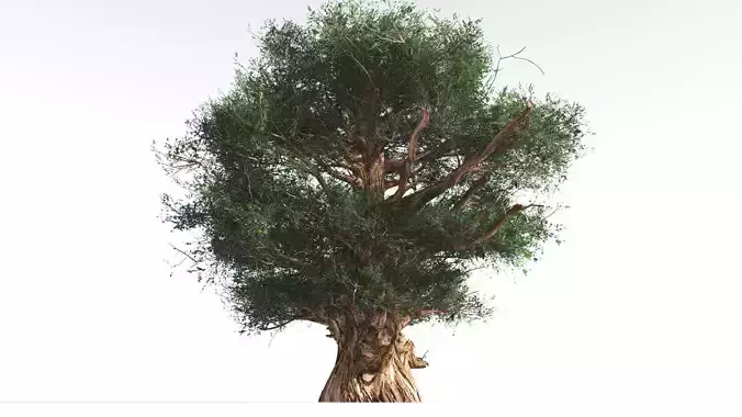 EVERYPlant Great Basin Bristlecone Pine 3 --16 Models-- 3D model