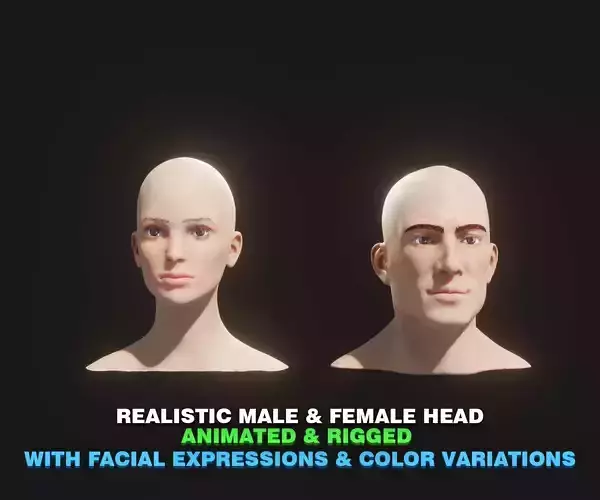 Realistic Male Female Head 3D Model Animated Facial Expressions Low-poly 3D model