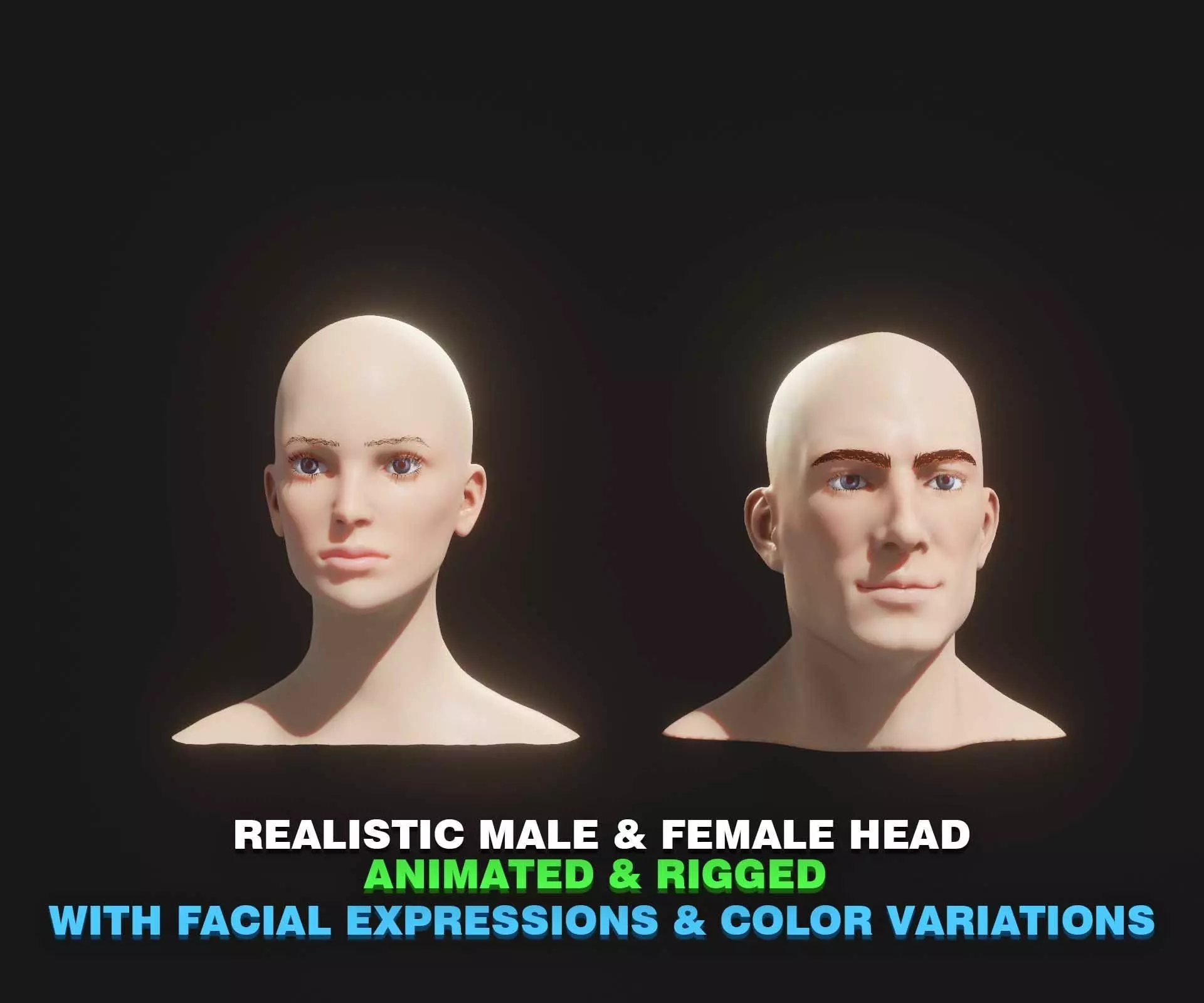 Realistic Male Female Head 3D Model Animated Facial Expressions Low-poly 3D model