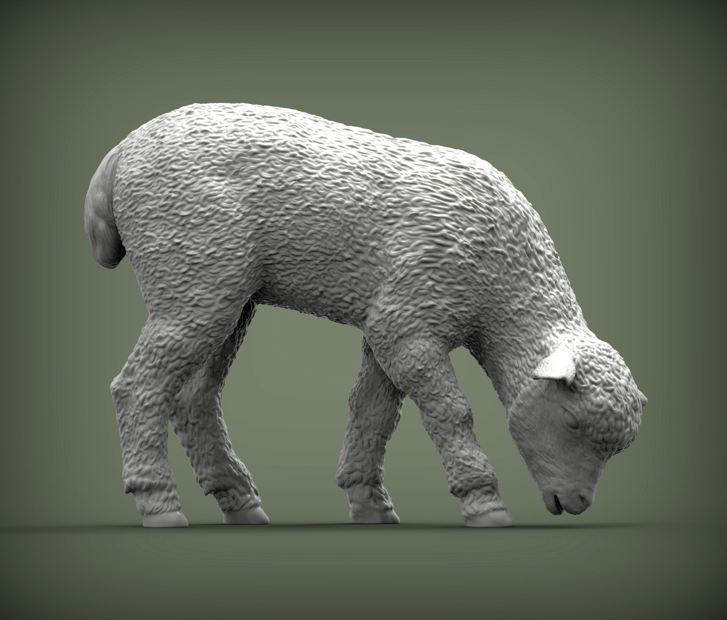 Lamb eats 3D print model_1