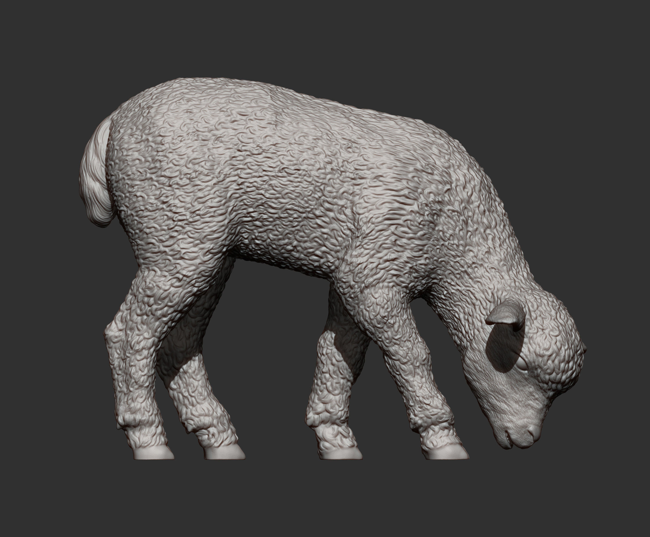 Lamb eats 3D print model_12