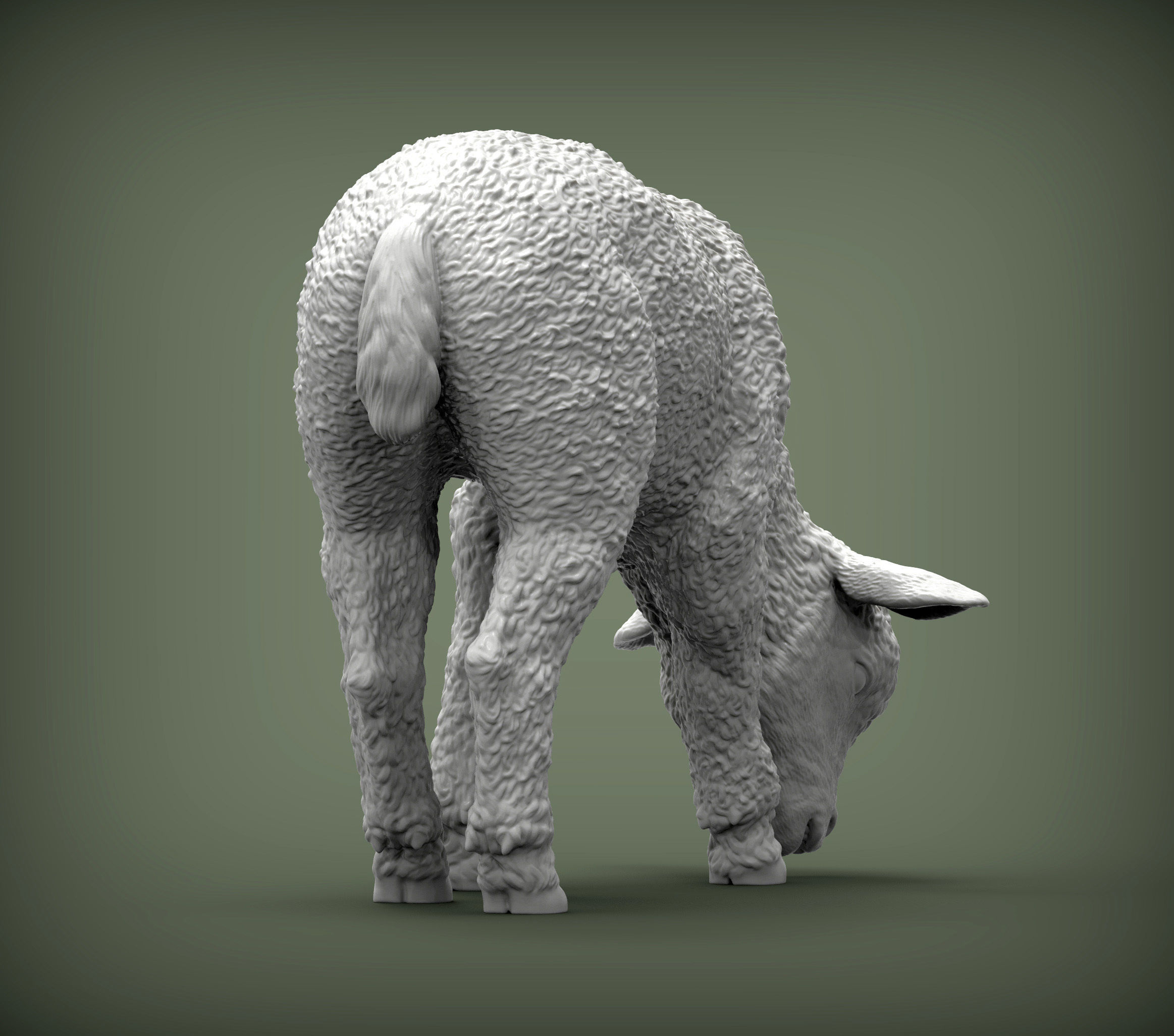 Lamb eats 3D print model_2