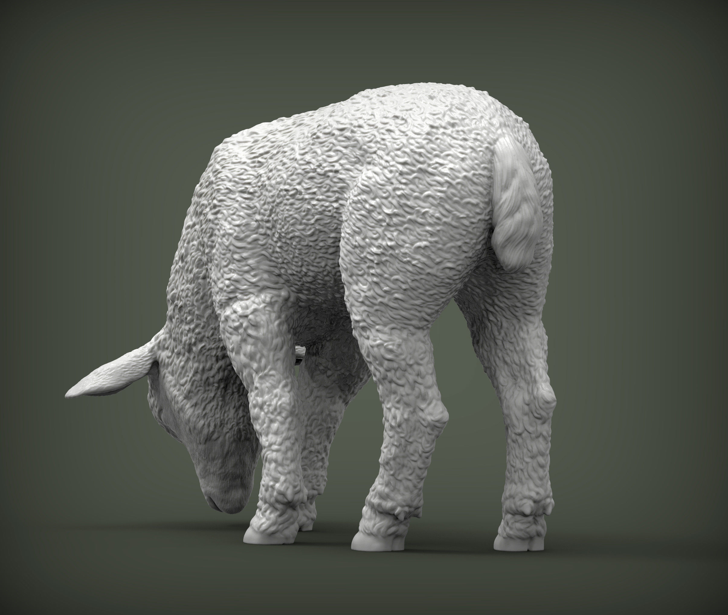 Lamb eats 3D print model_3