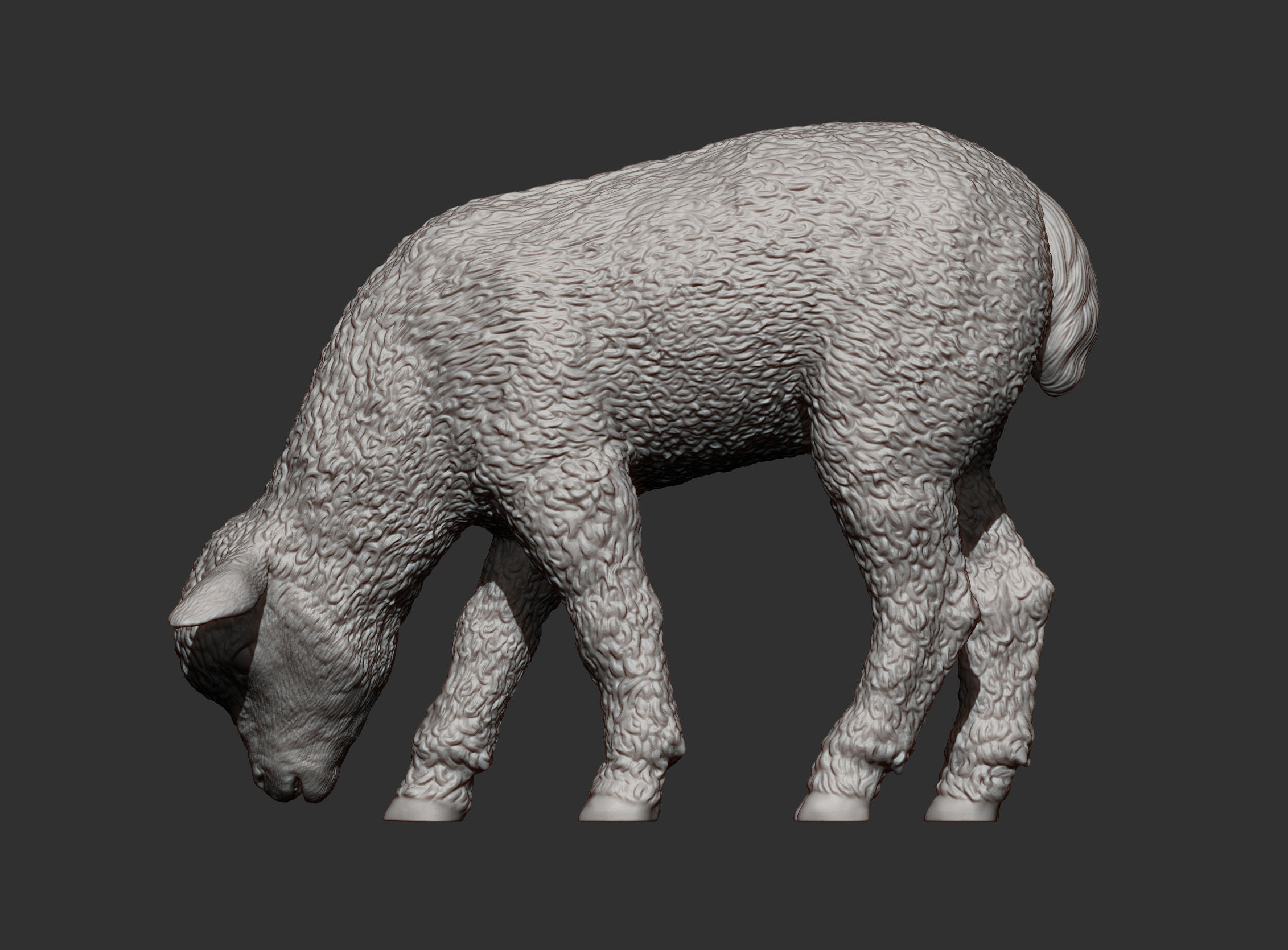 Lamb eats 3D print model_8