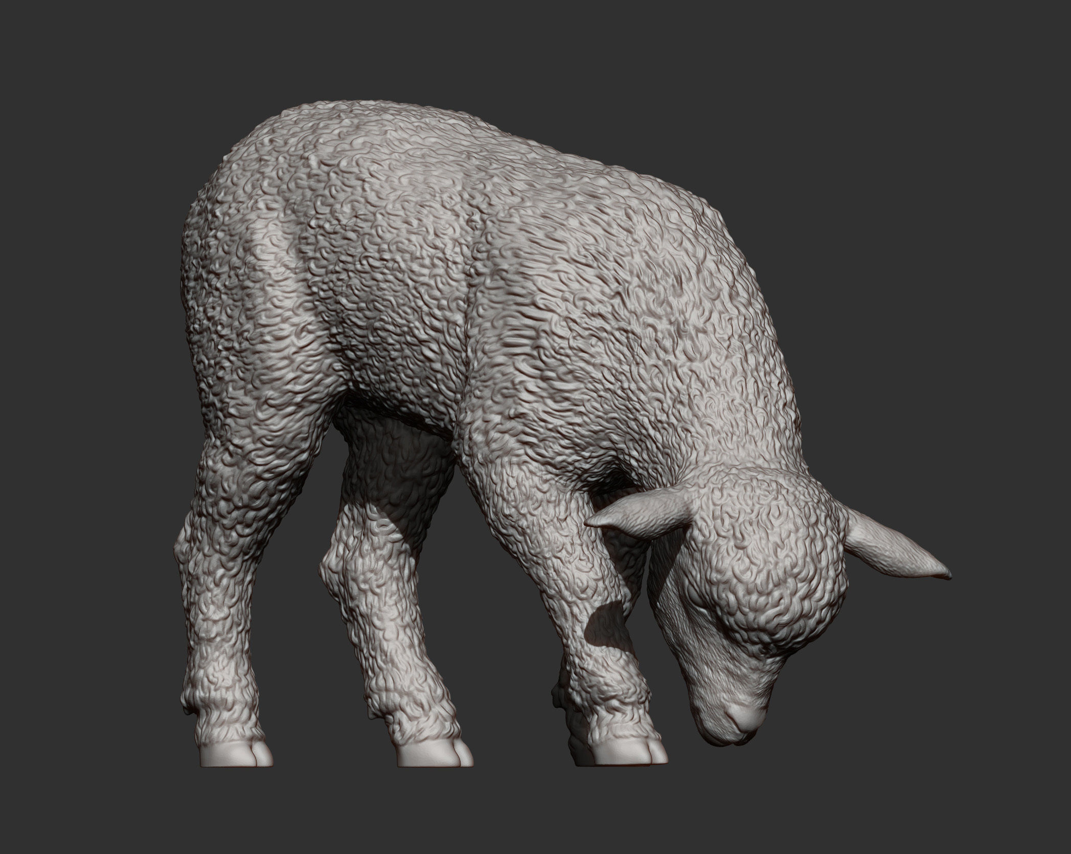 Lamb eats 3D print model_11