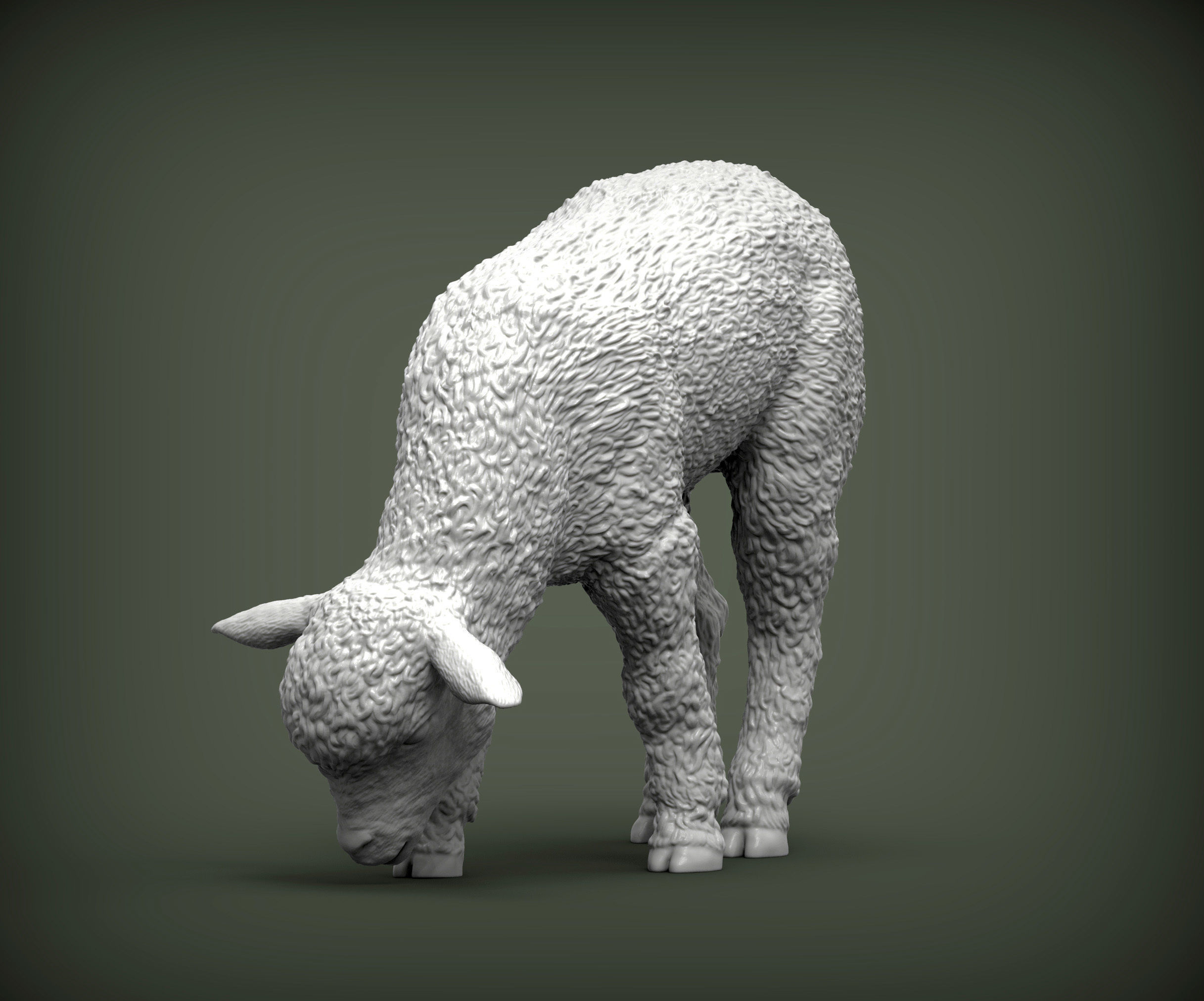 Lamb eats 3D print model_5