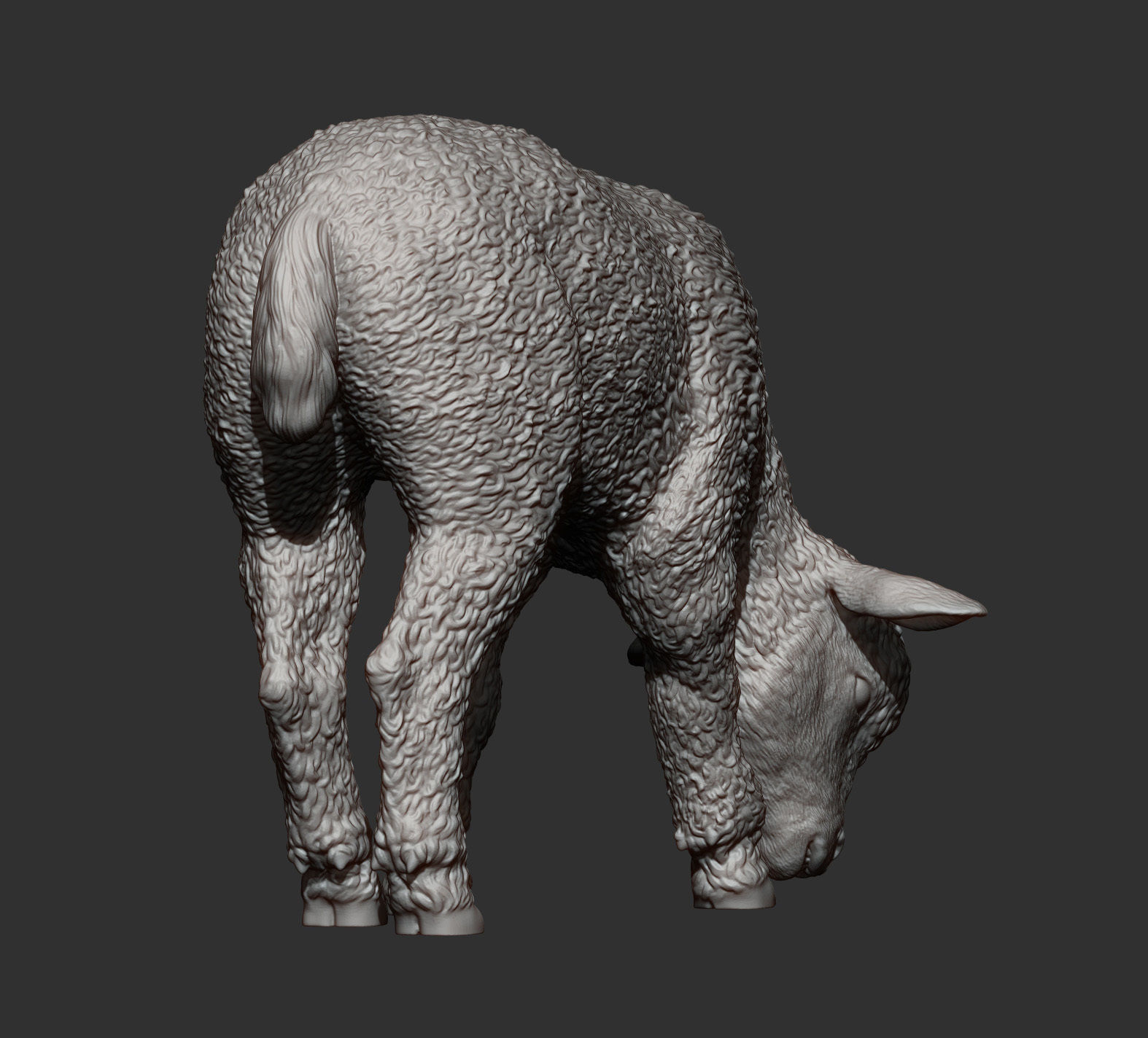 Lamb eats 3D print model_10