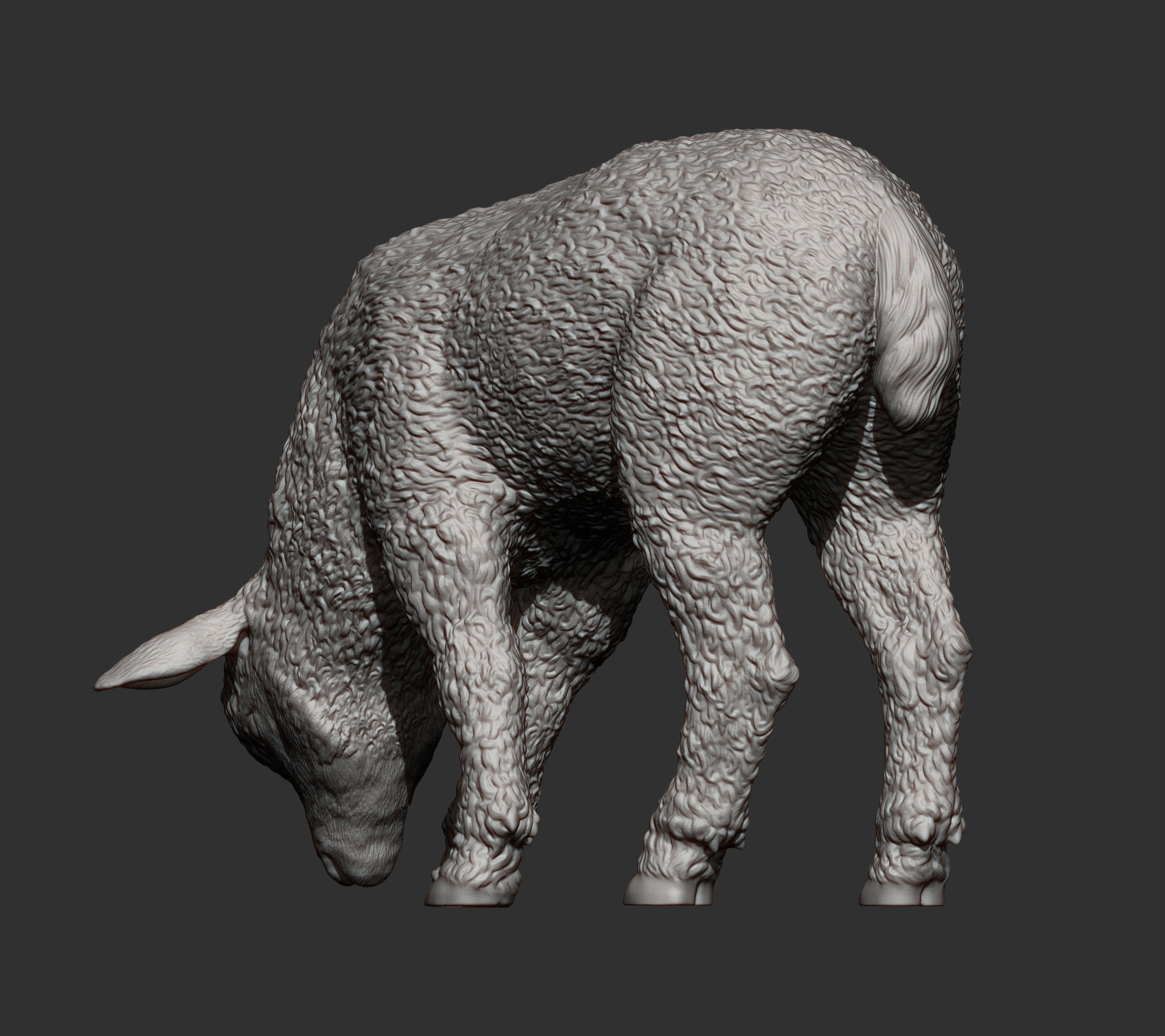 Lamb eats 3D print model_7