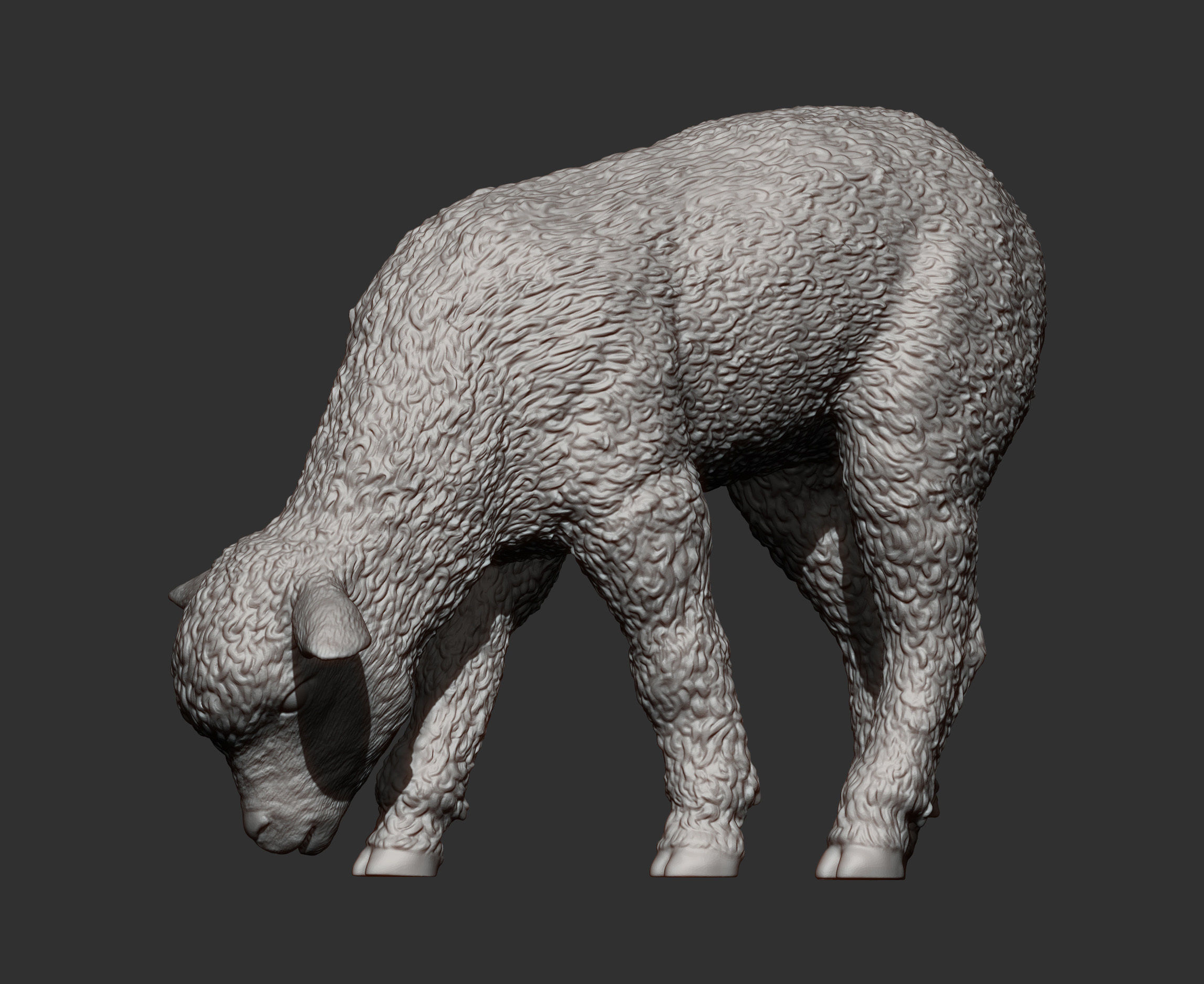 Lamb eats 3D print model_9