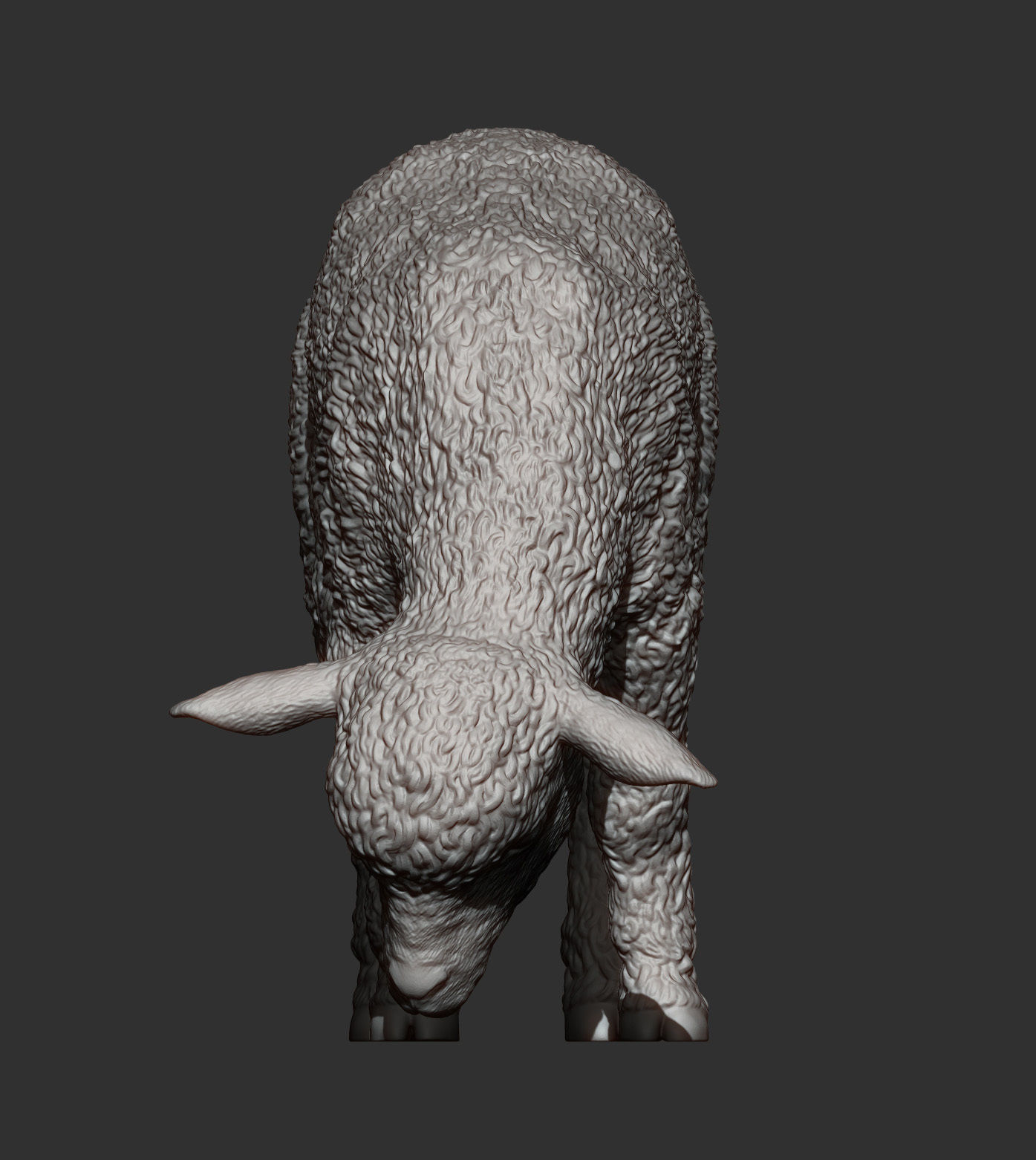 Lamb eats 3D print model_6