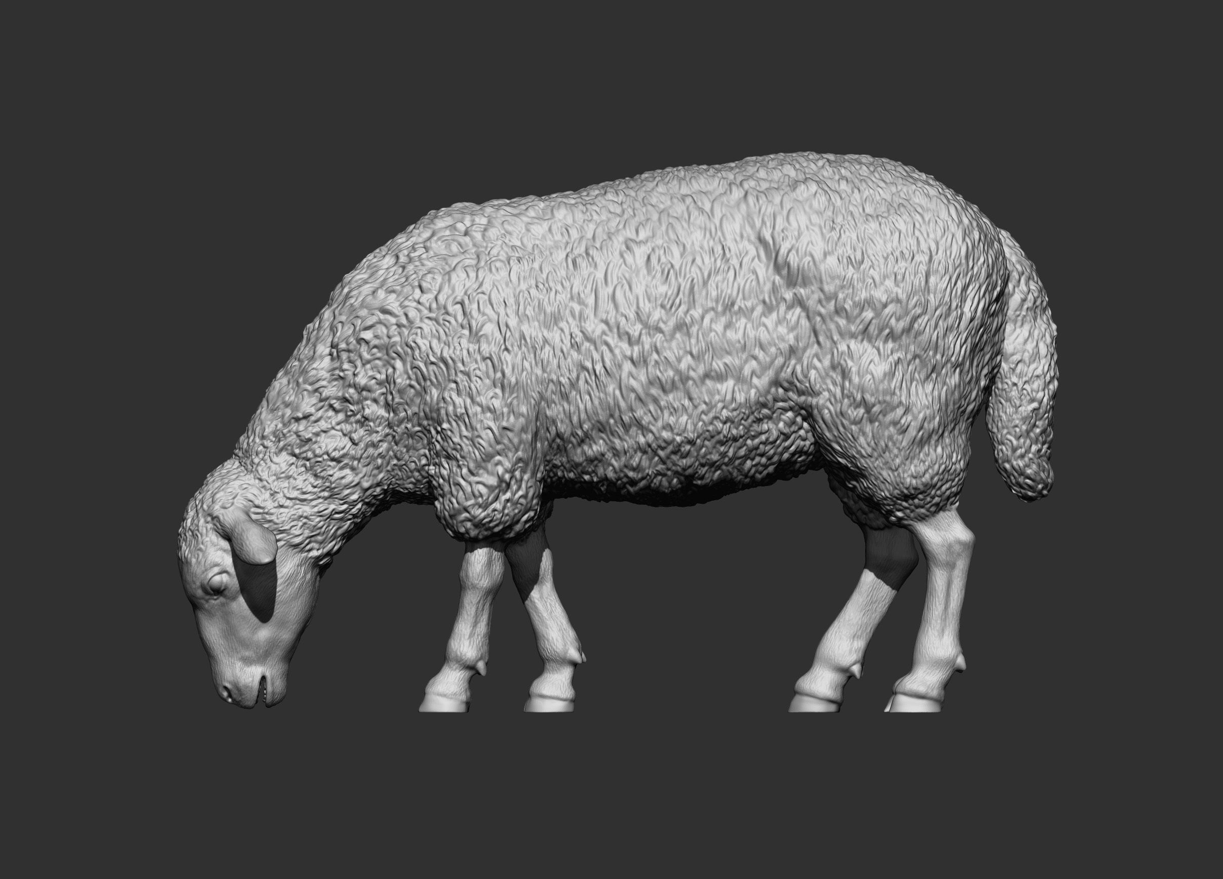 Sheep eat 3D print model_9