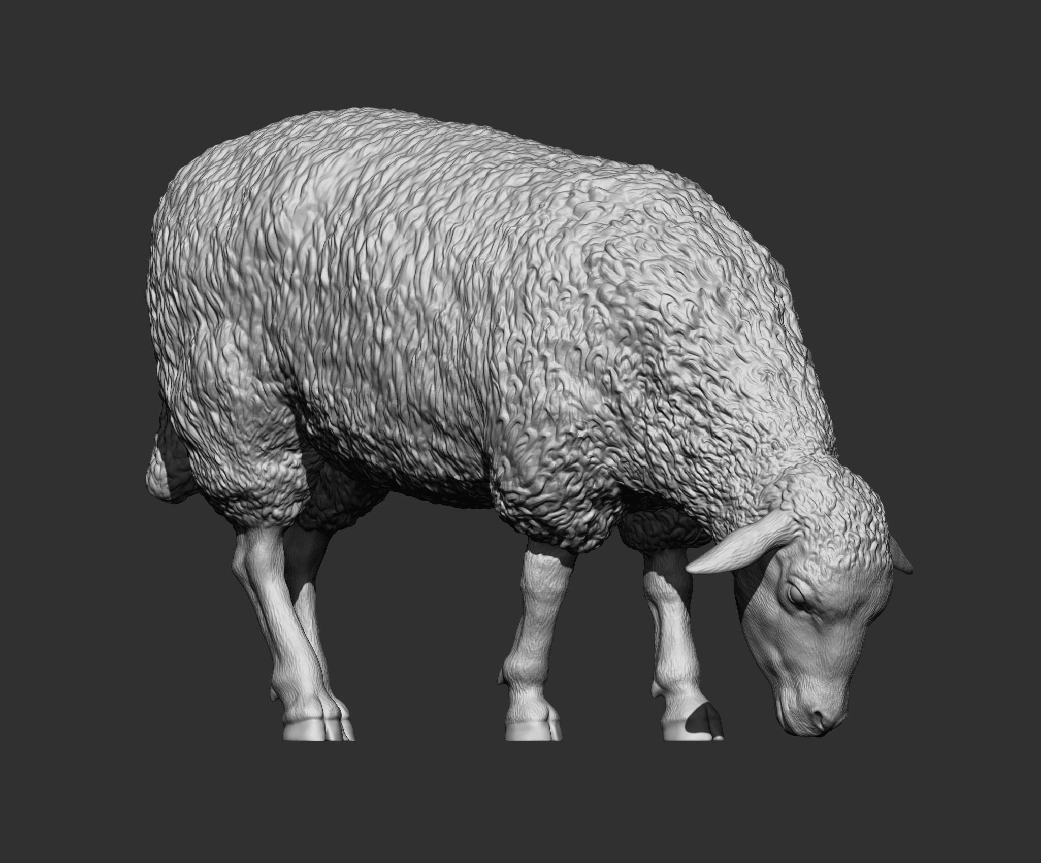 Sheep eat 3D print model_12