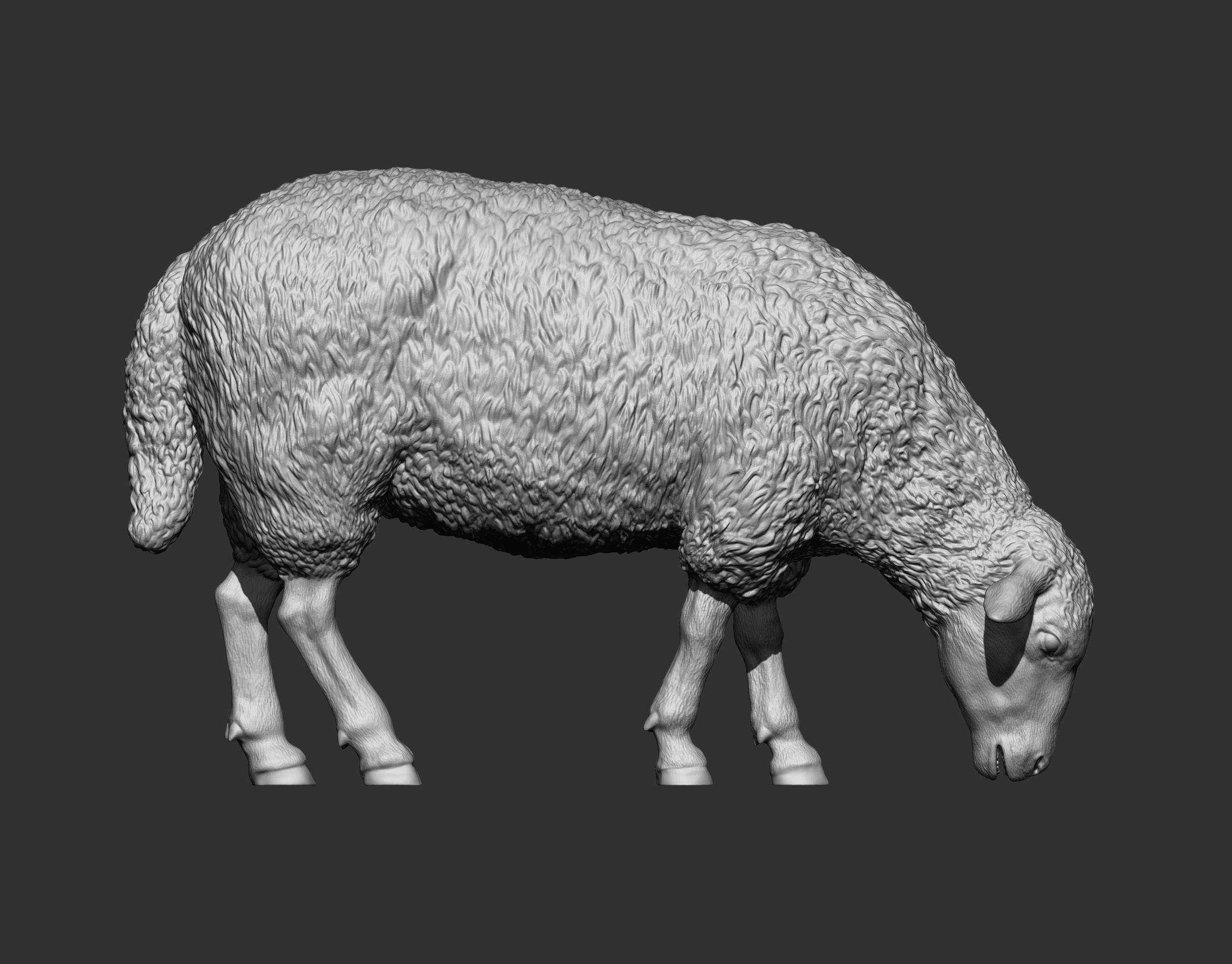 Sheep eat 3D print model_10
