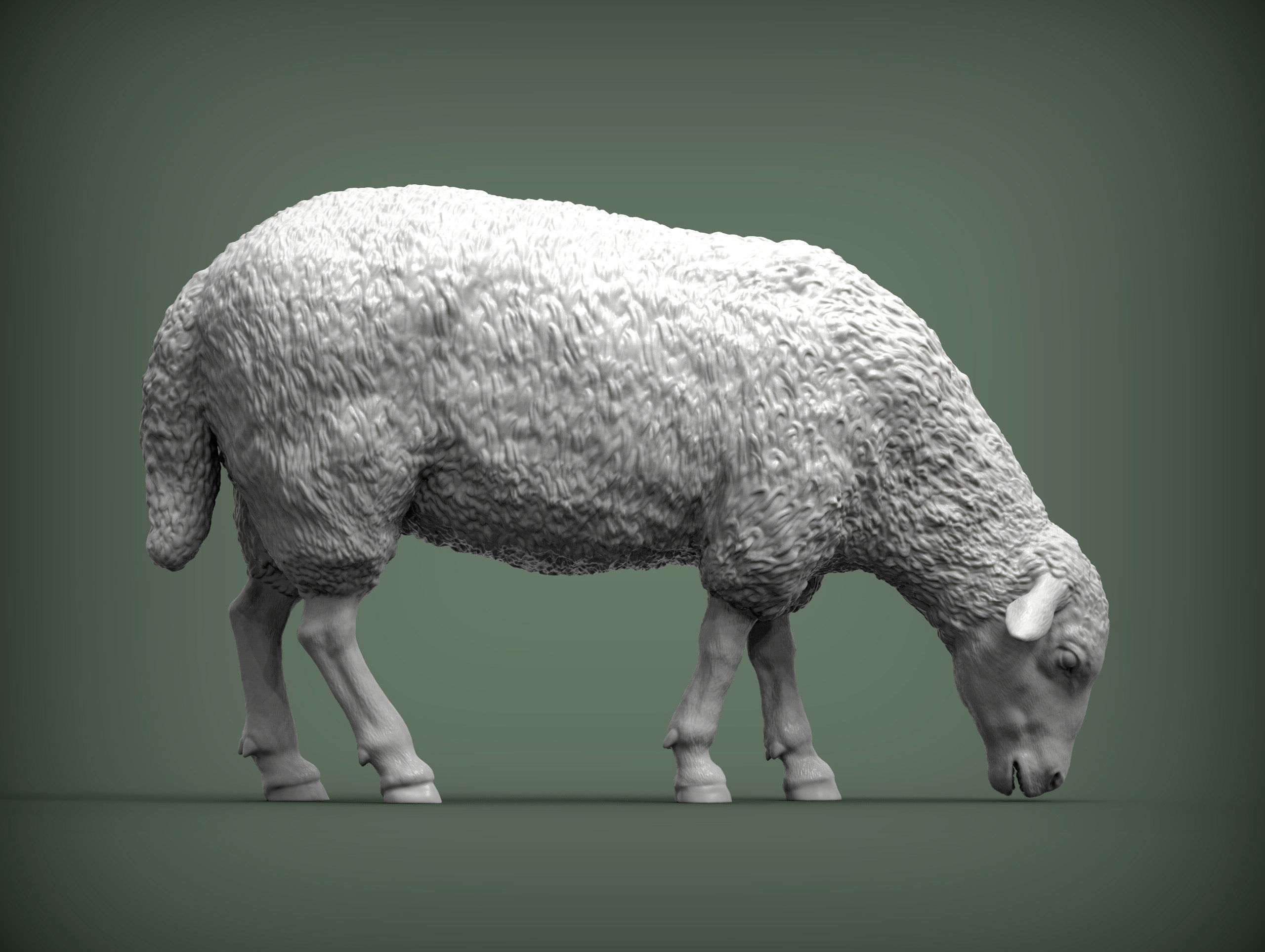 Sheep eat 3D print model_4