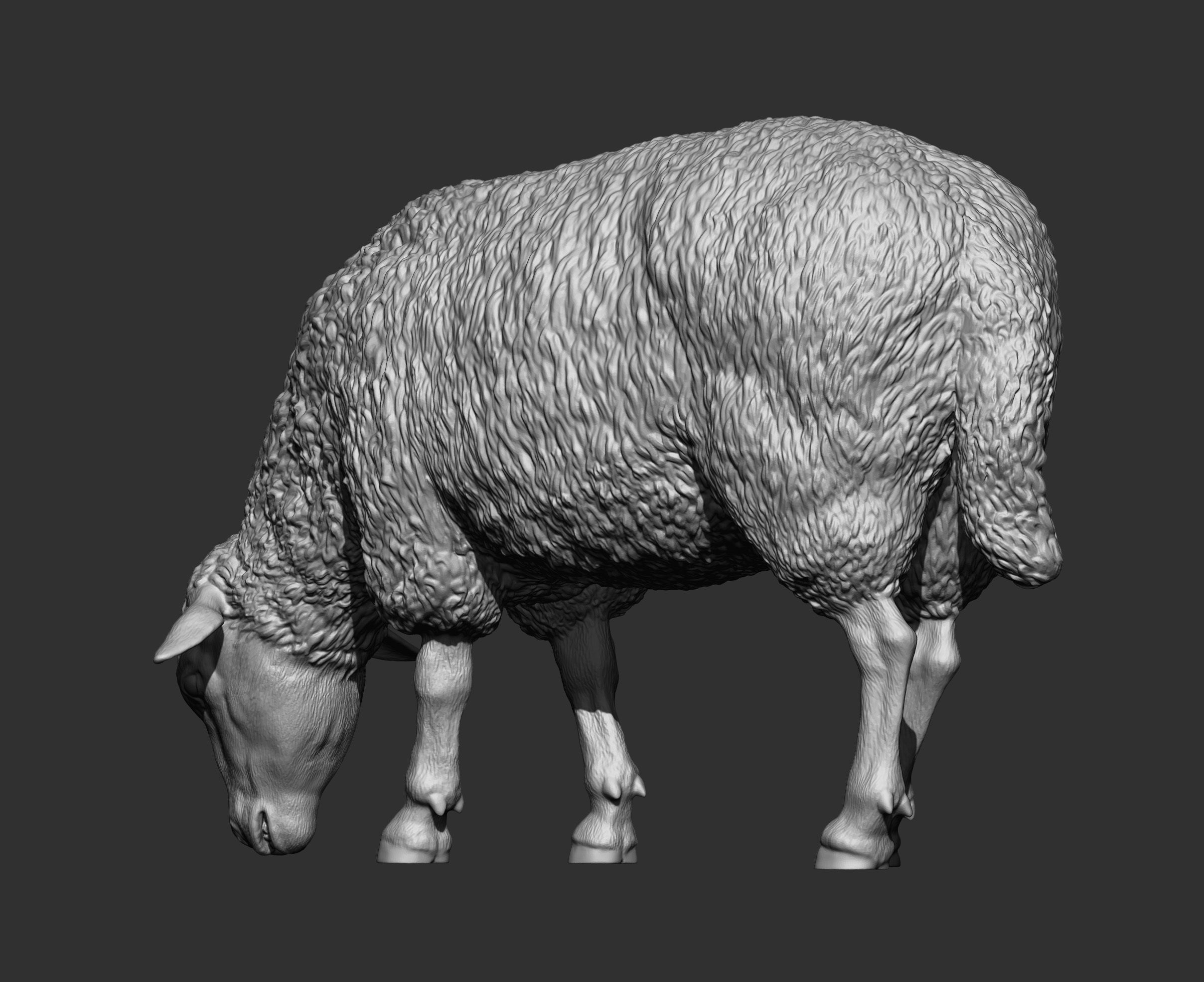 Sheep eat 3D print model_7