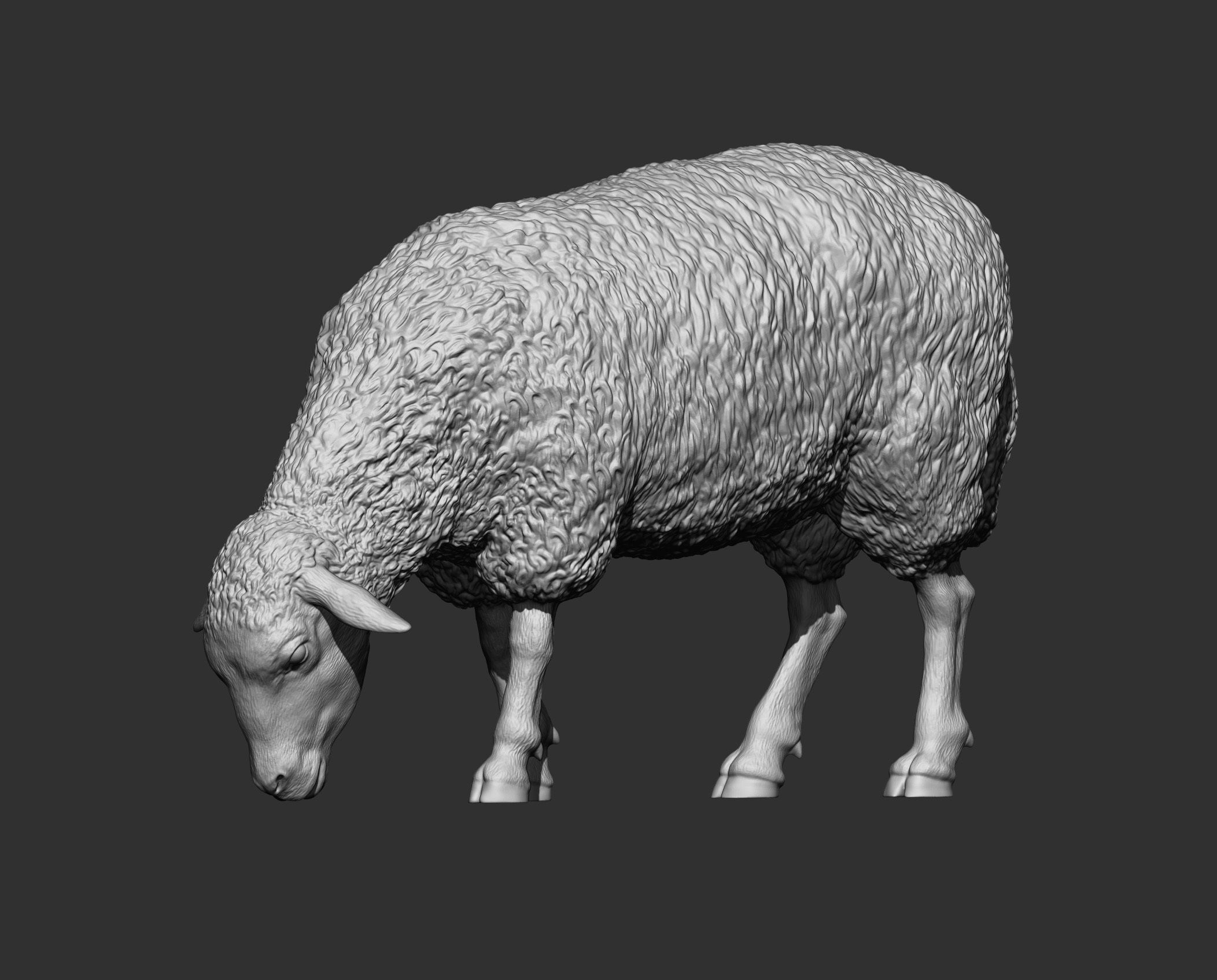 Sheep eat 3D print model_11