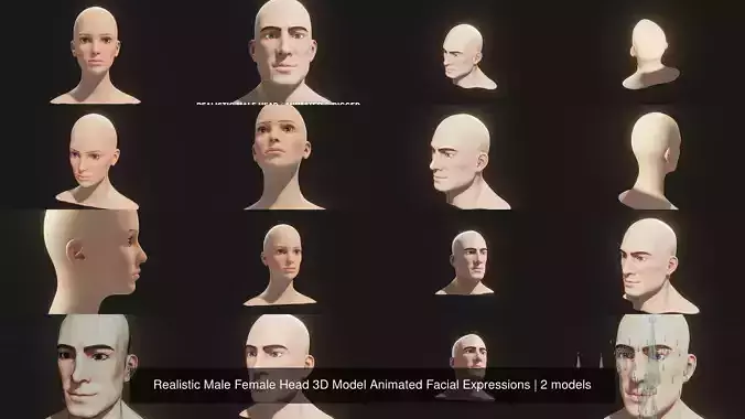 Realistic Male Female Head 3D Model Animated Facial Expressions