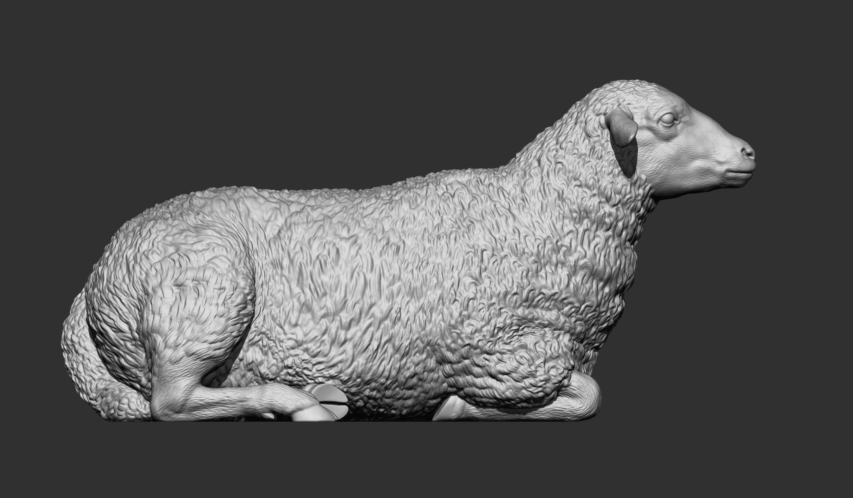 Sheep lies 3D print model_11
