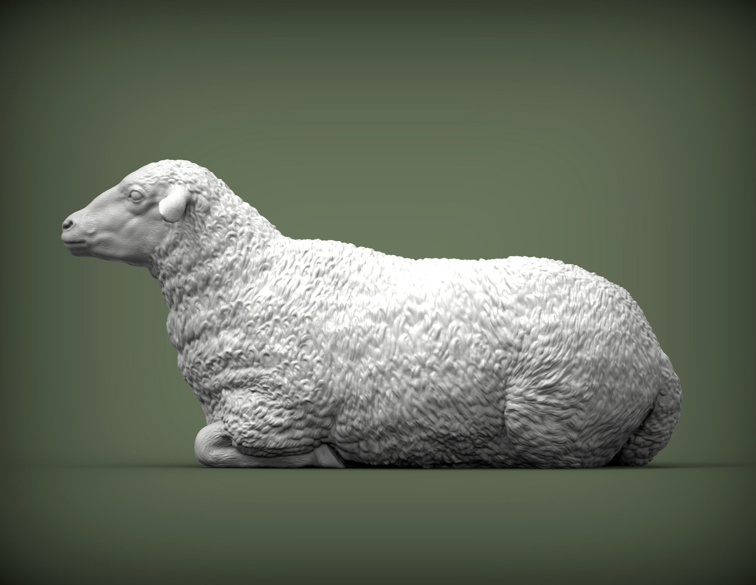 Sheep lies 3D print model_3