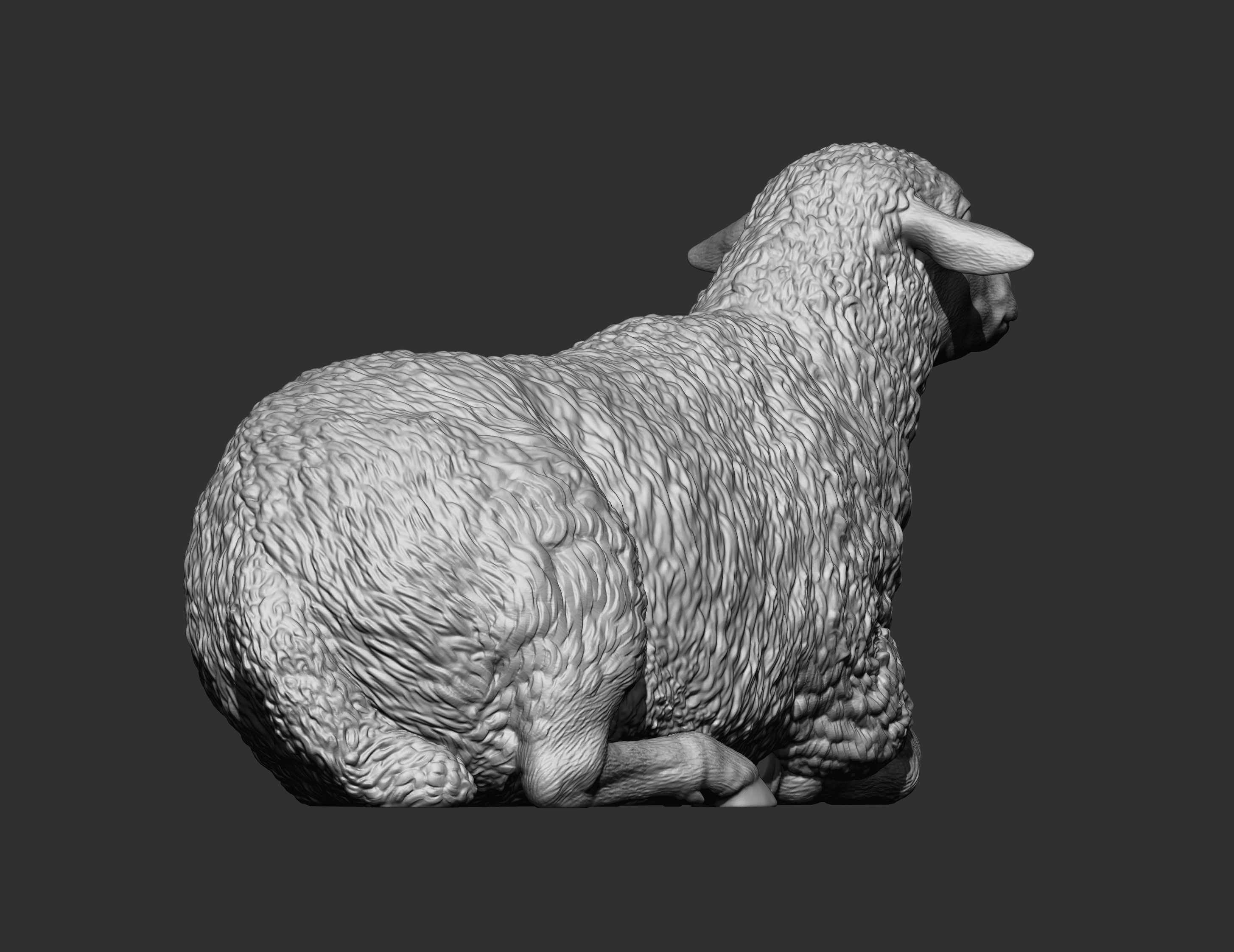 Sheep lies 3D print model_9